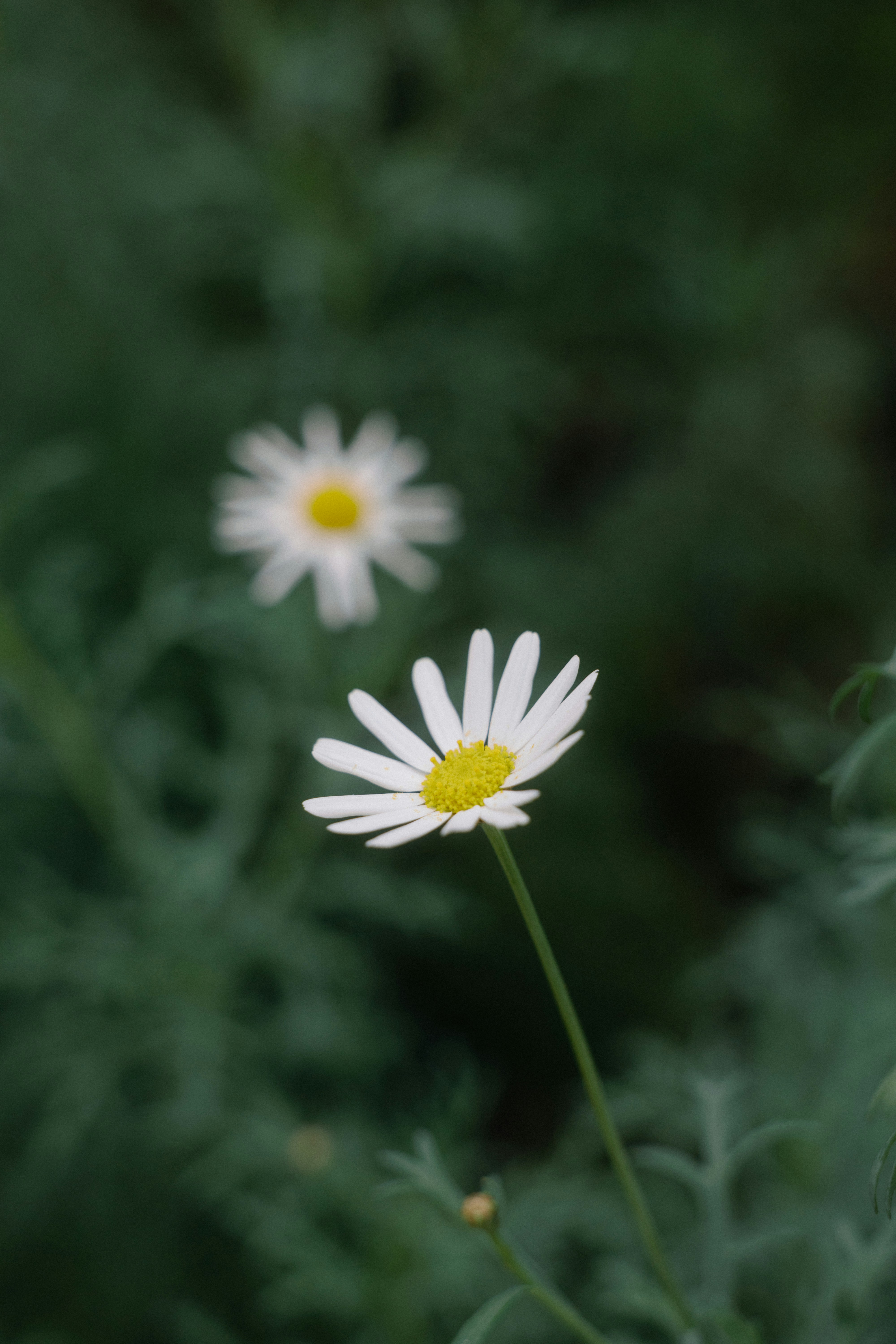 Photo by jaydraws2019