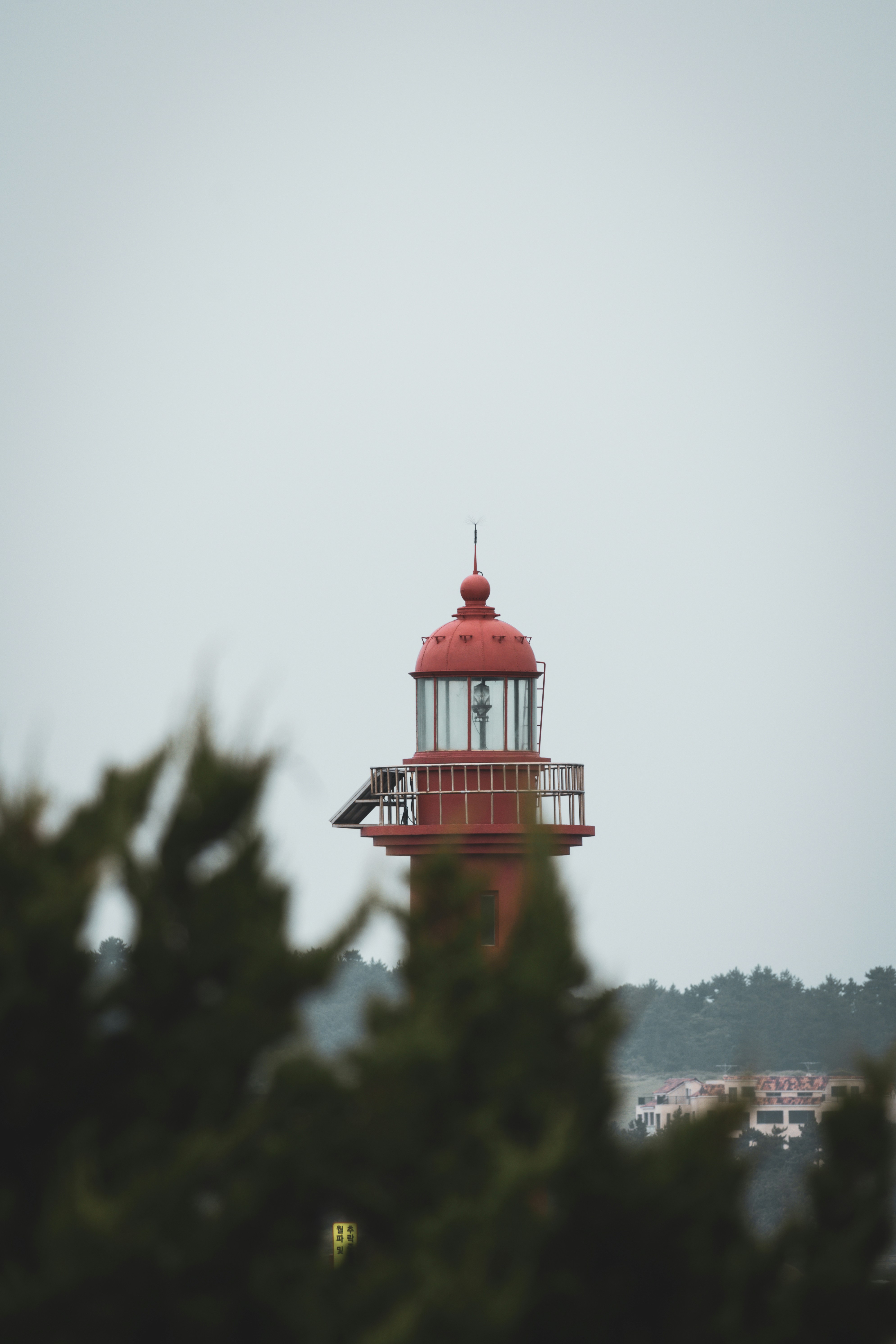 Photo by horseratbros