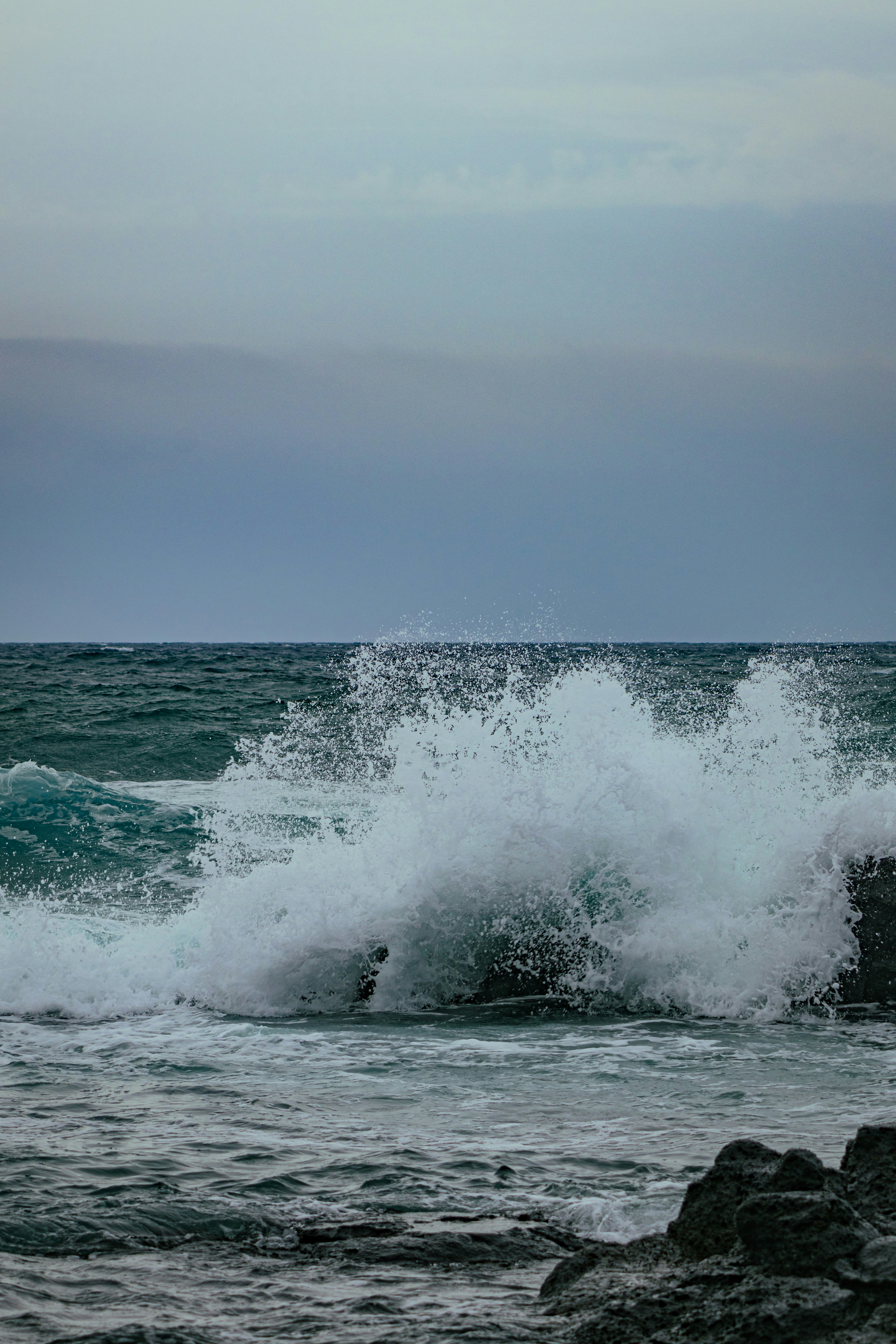 Photo by horseratbros