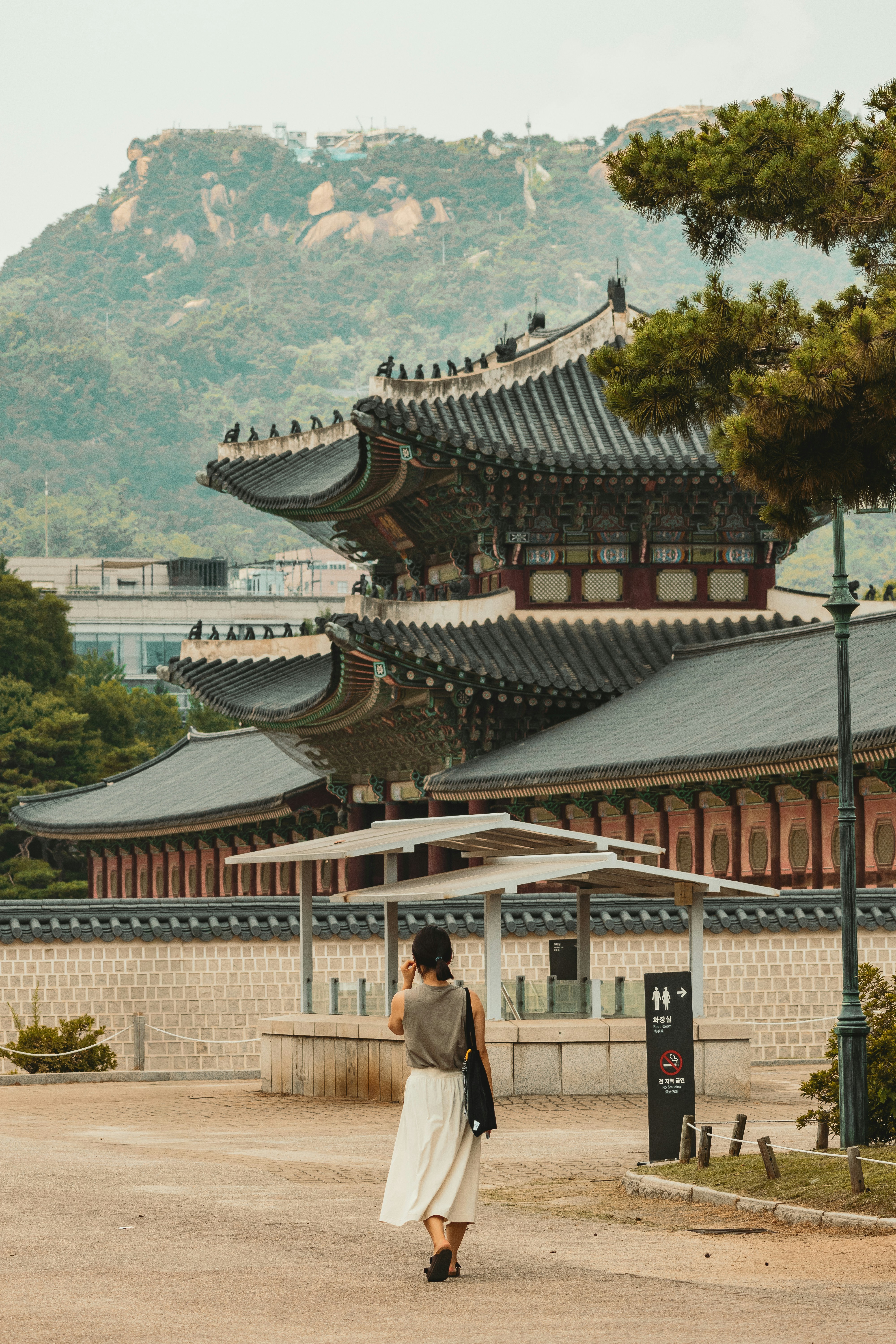 Photo by horseratbros