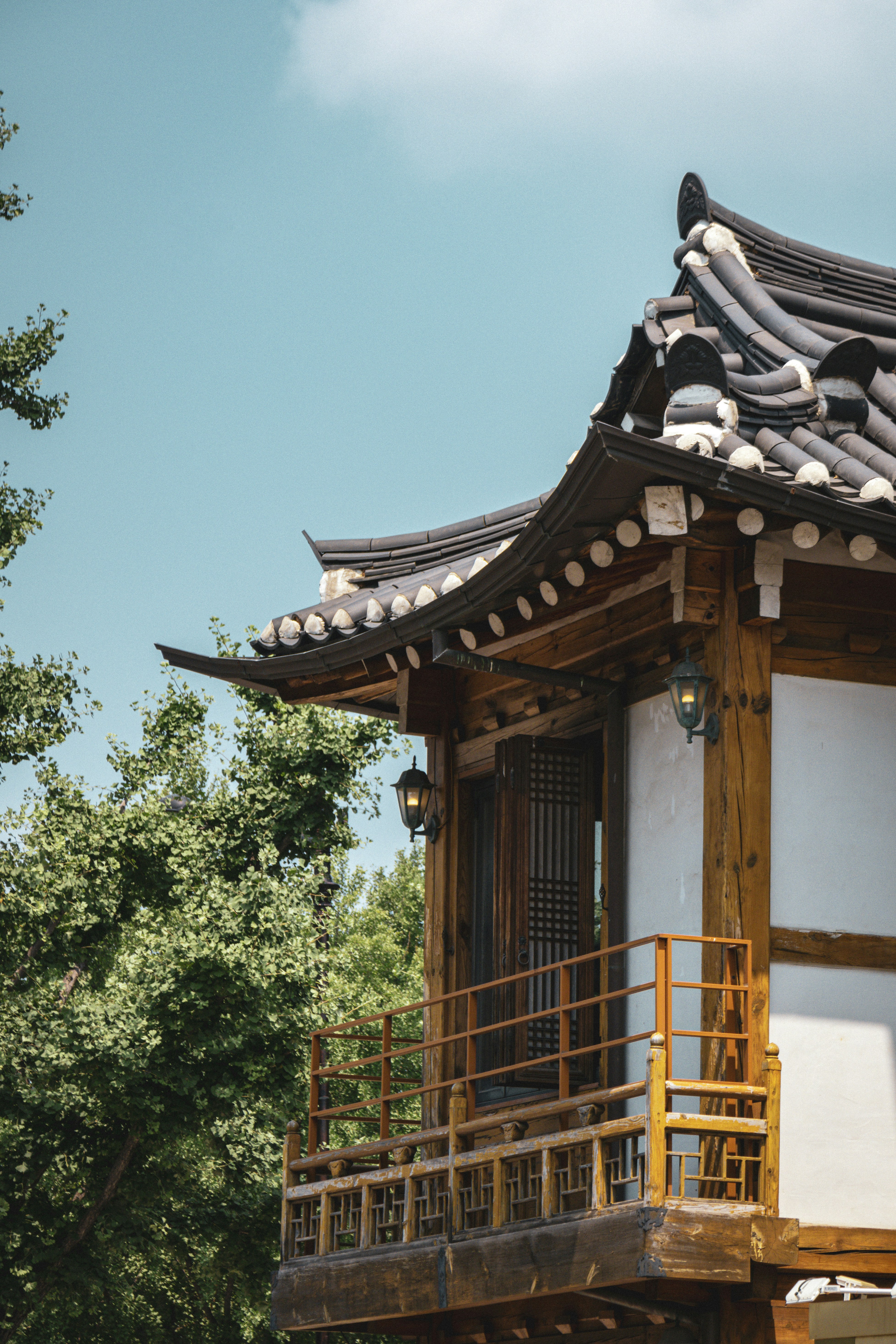 Photo by horseratbros