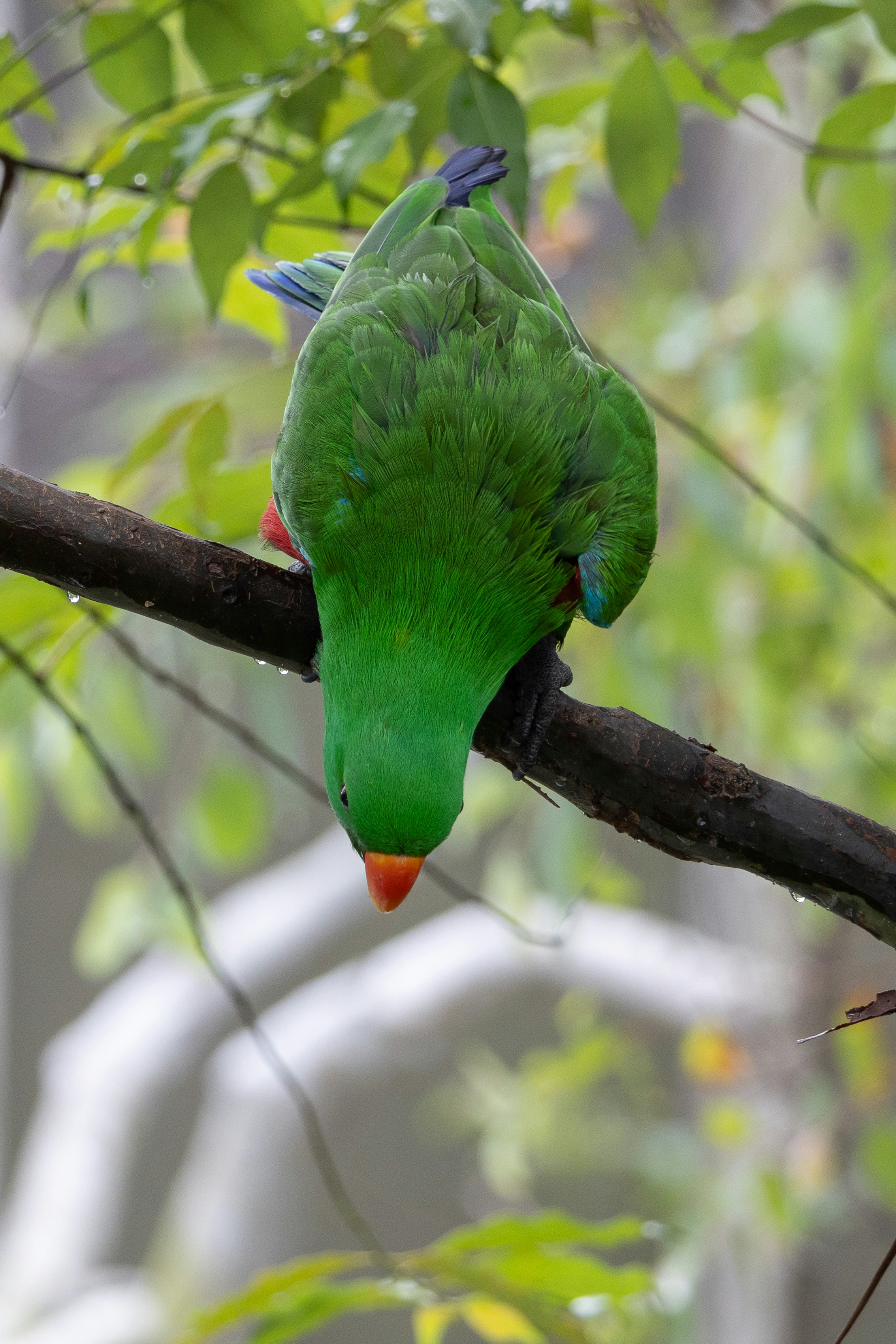 Photo by jaydraws2019