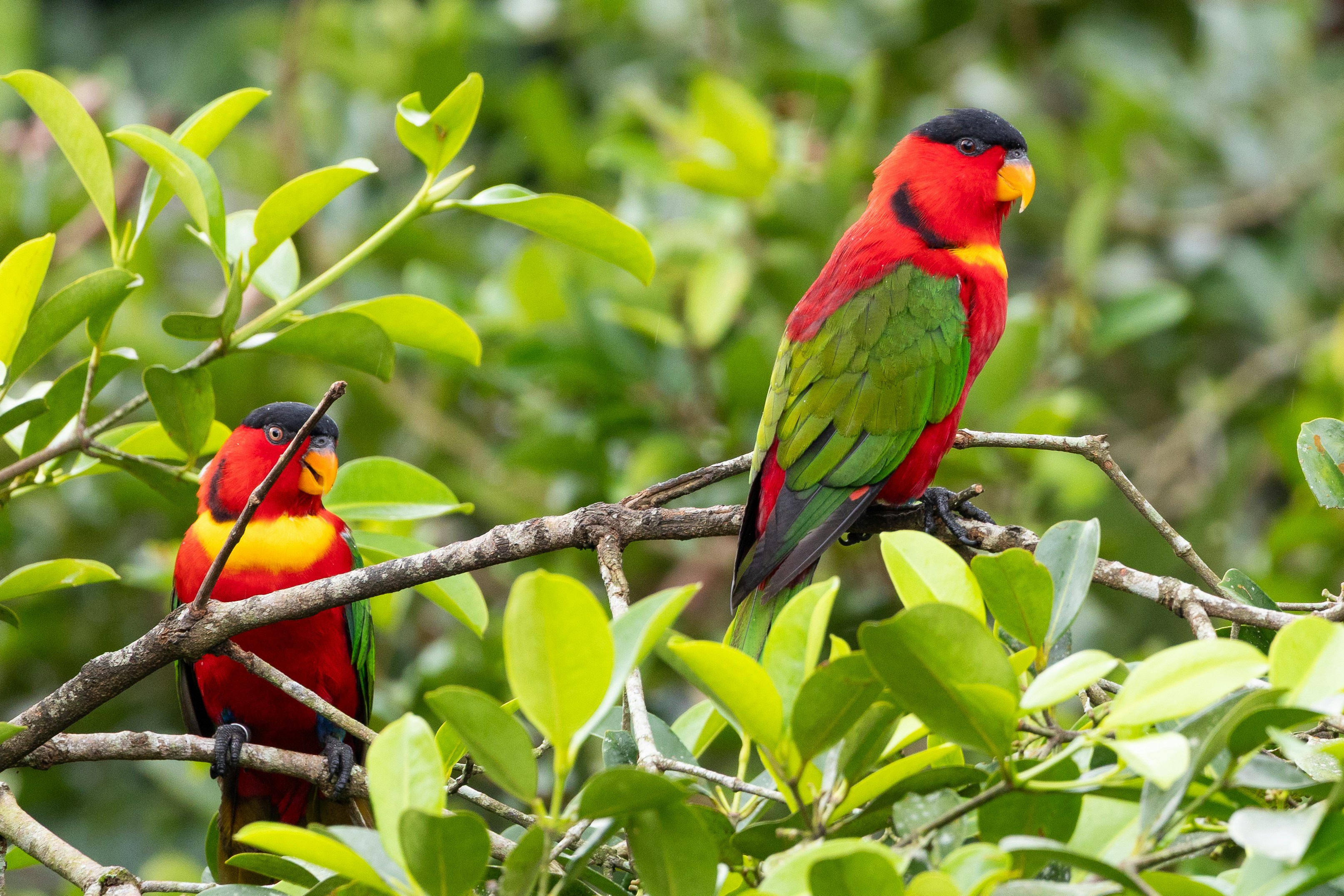 Photo by jaydraws2019