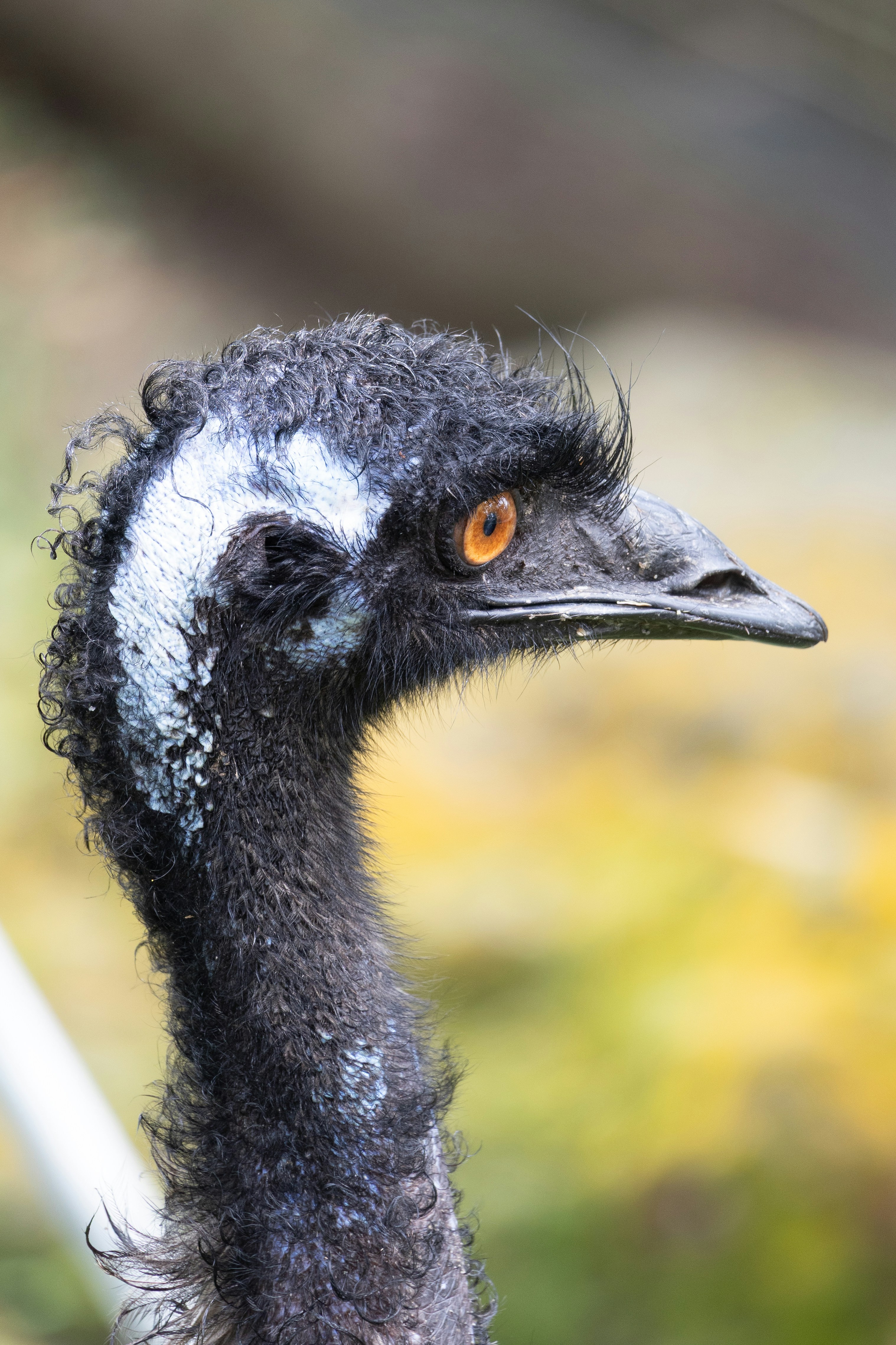 Photo by jaydraws2019