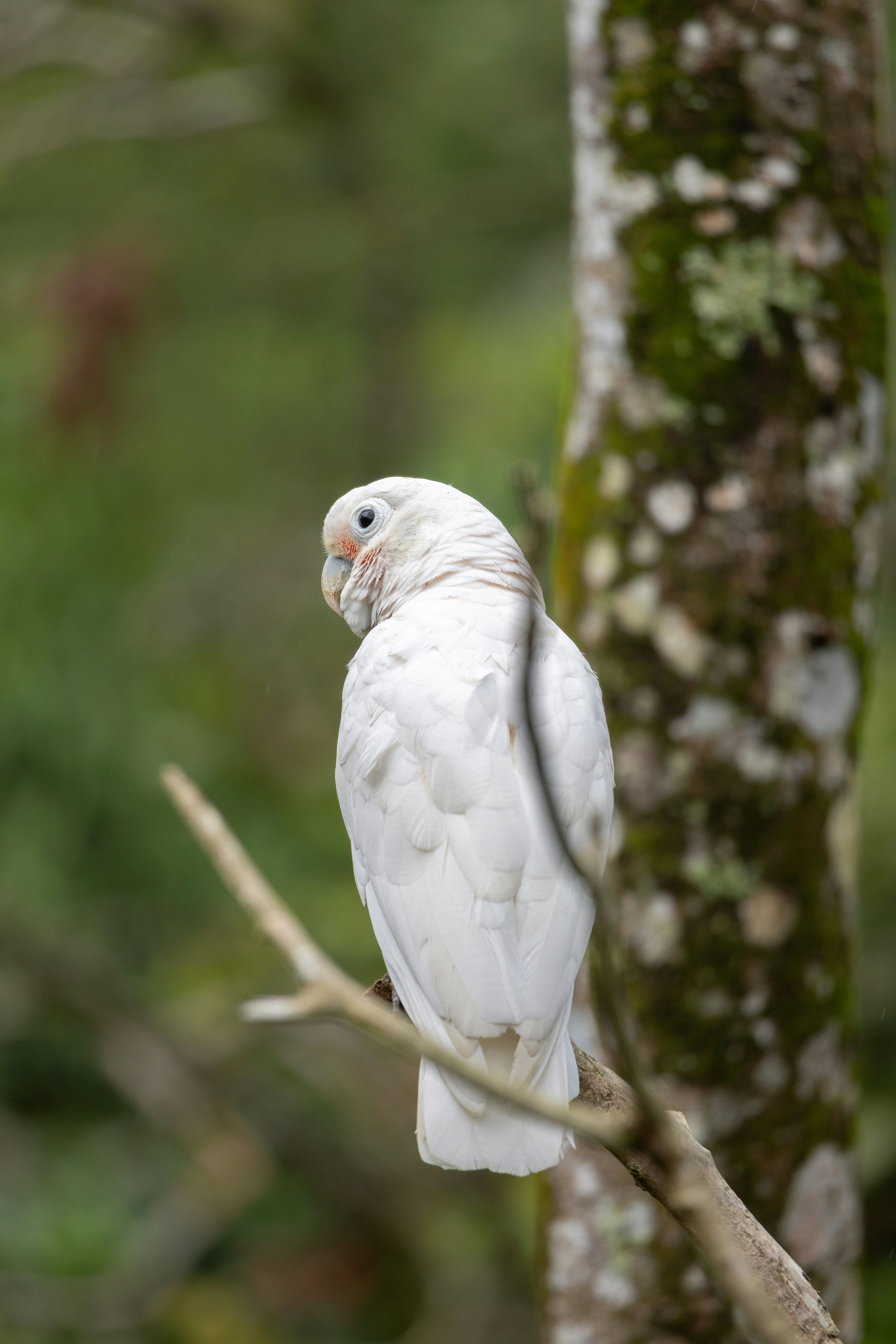 Photo by jaydraws2019