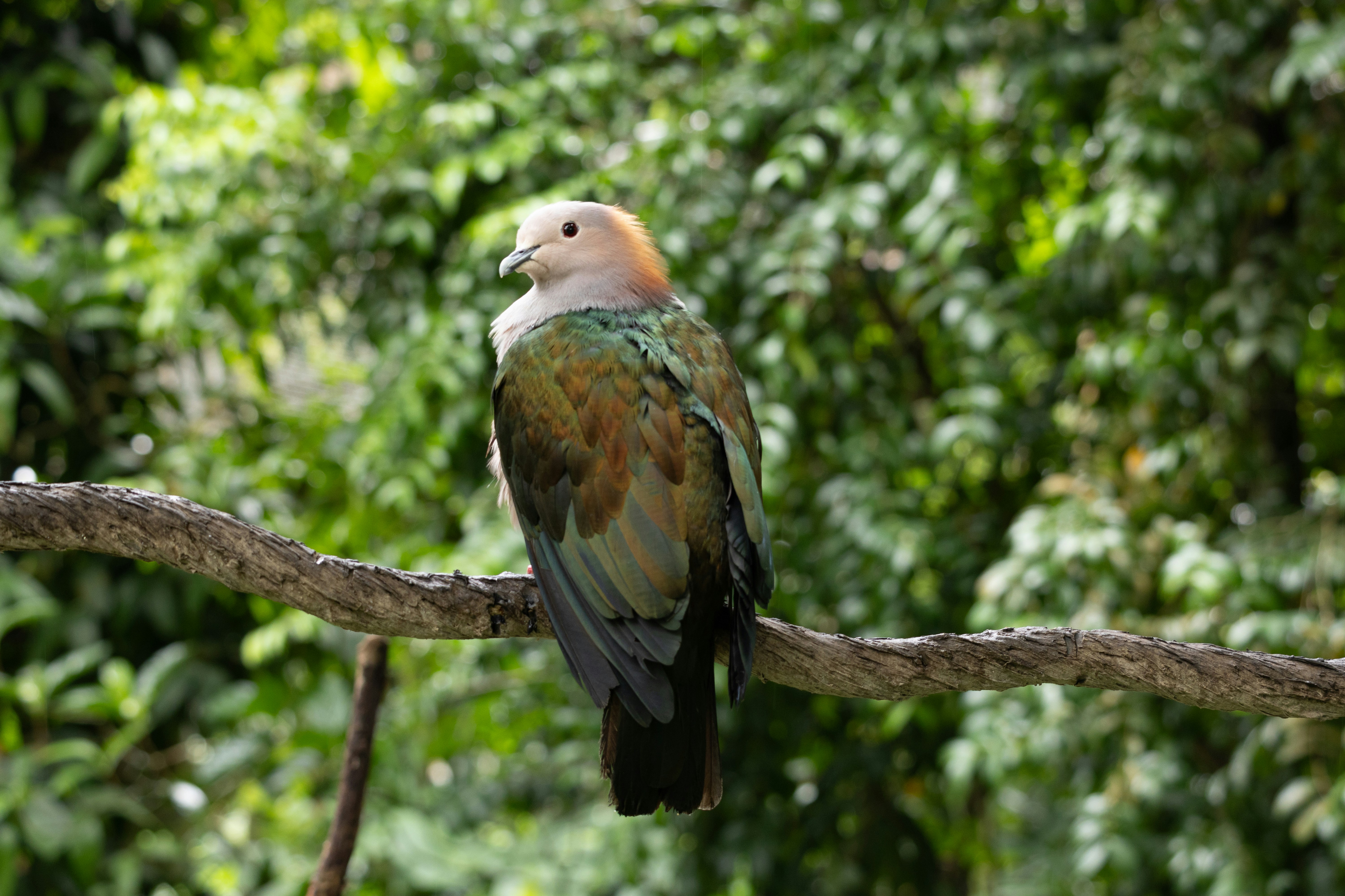 Photo by jaydraws2019