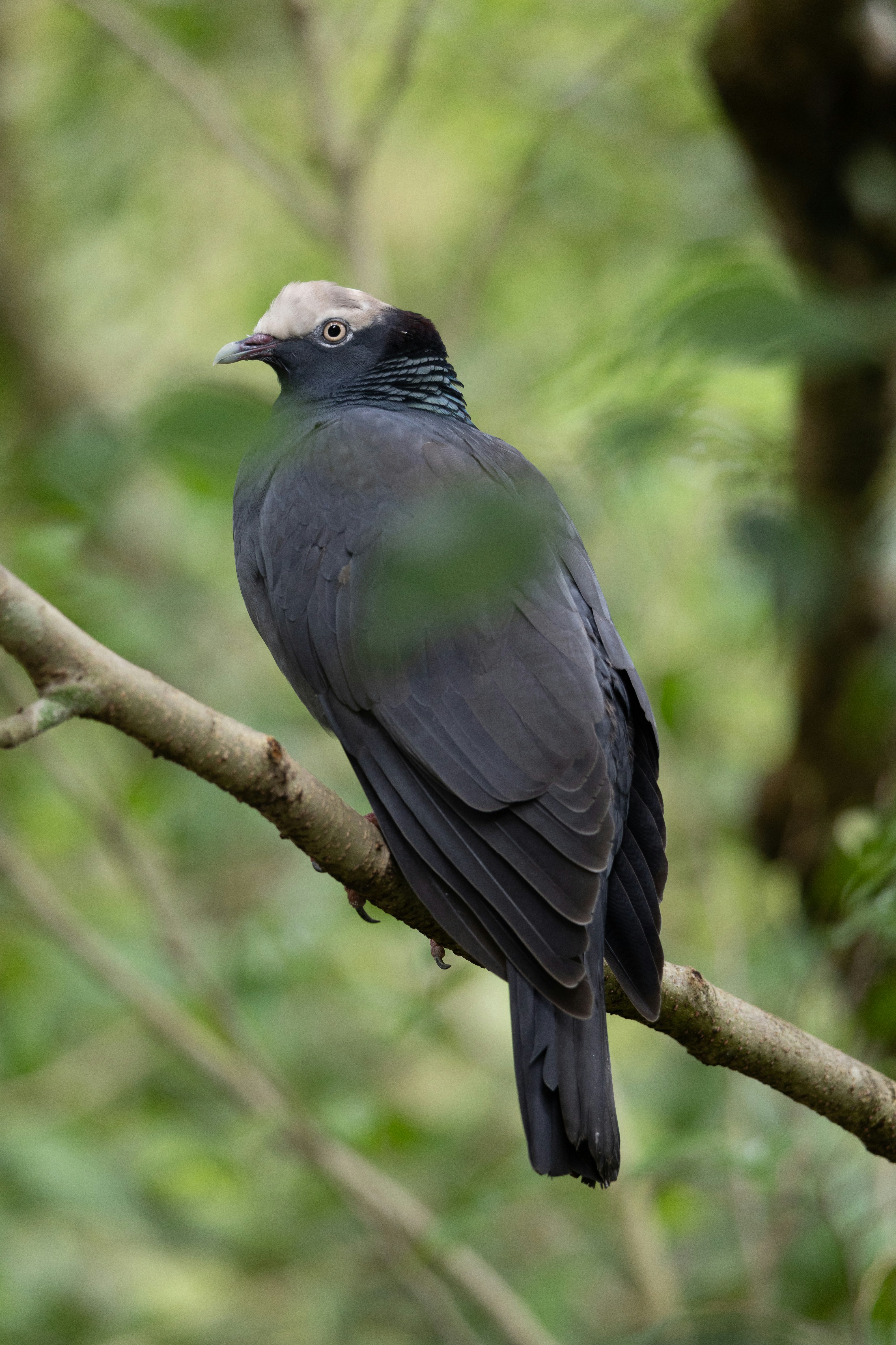 Photo by jaydraws2019