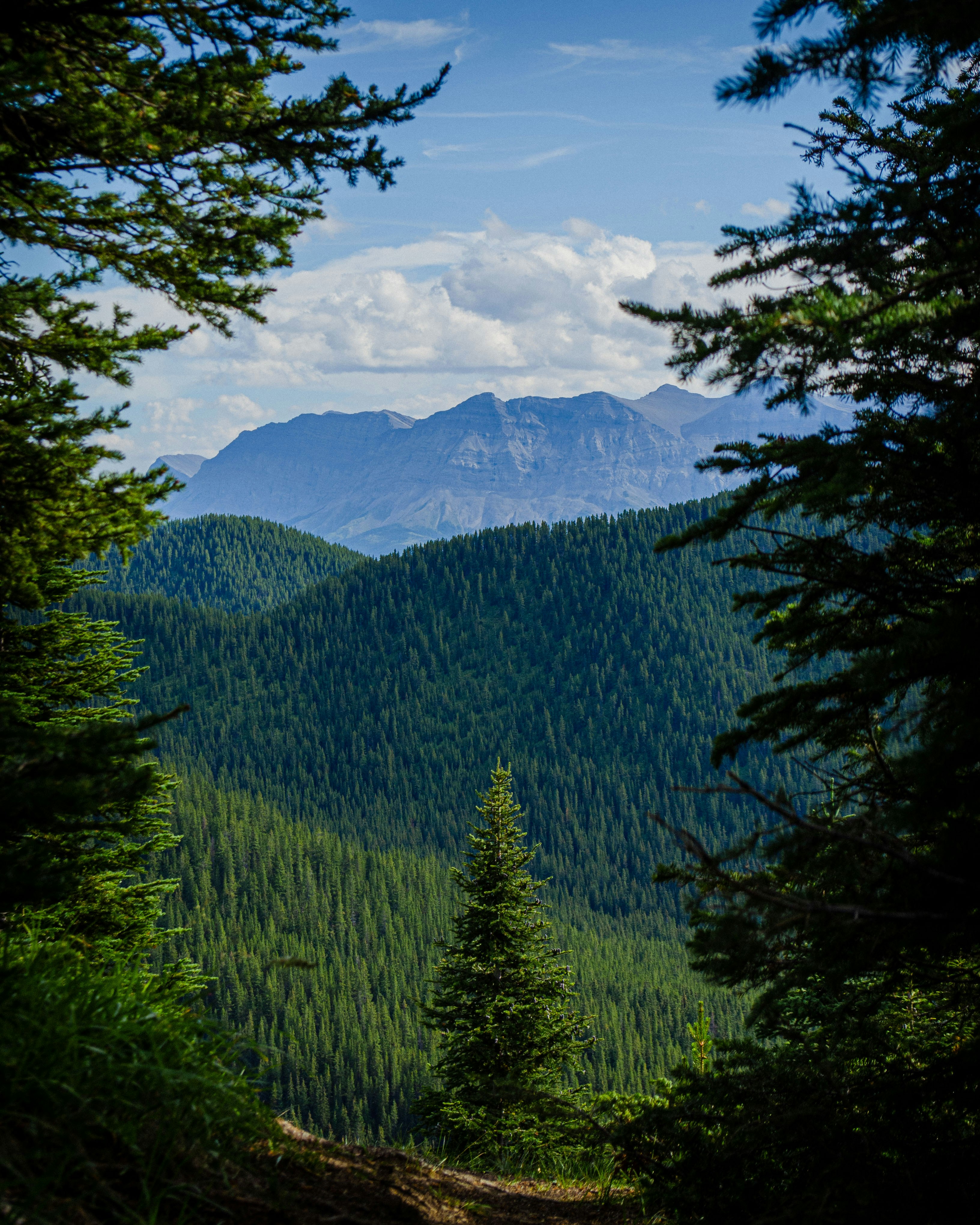 Wilderness mountain landscape, ilustrasi artikel Conquer the Wild Safely: Essential Gear for Remote Camping Adventures 4