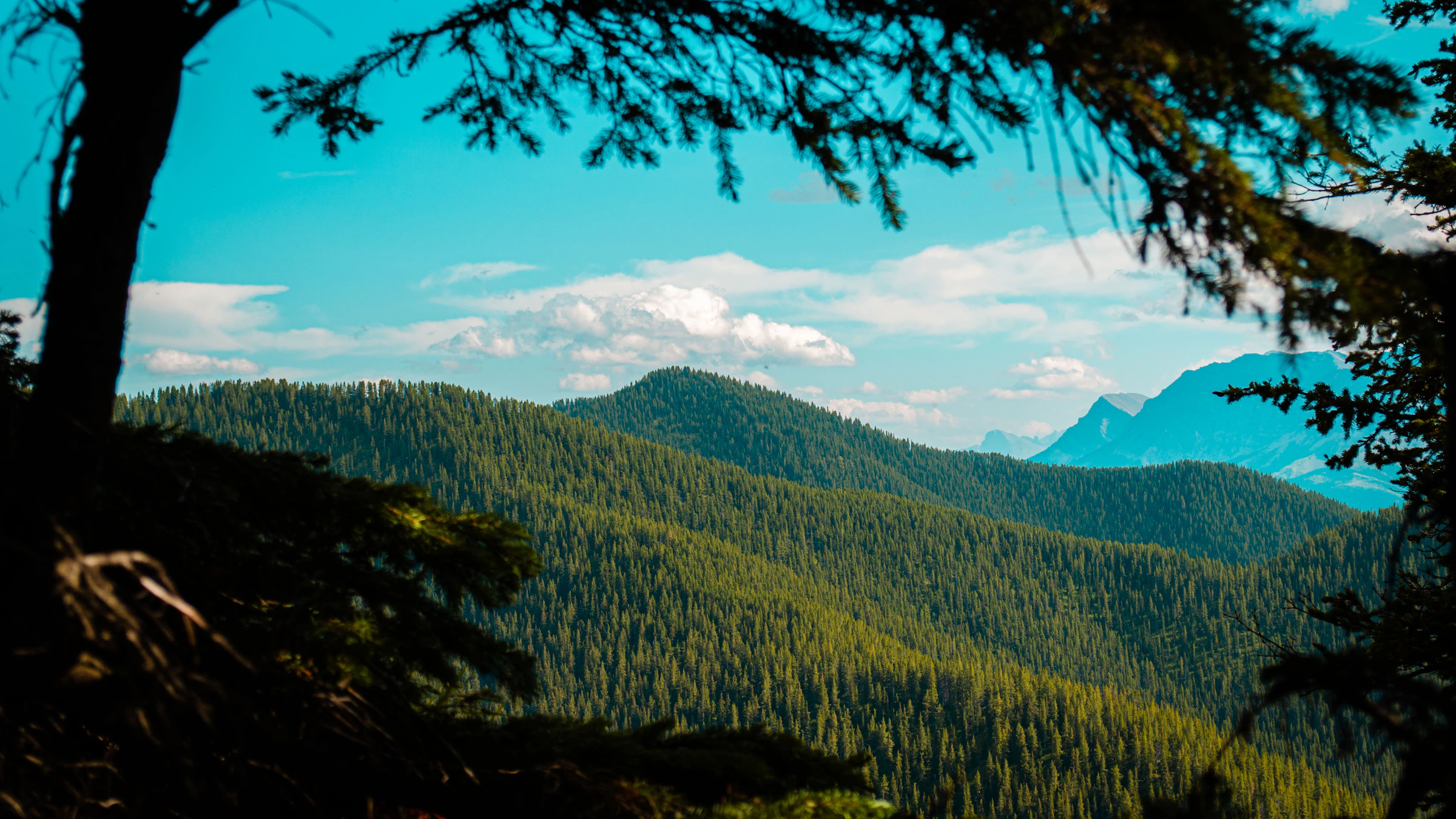 Daytime view of forested Ozark mountains under a bright blue sky