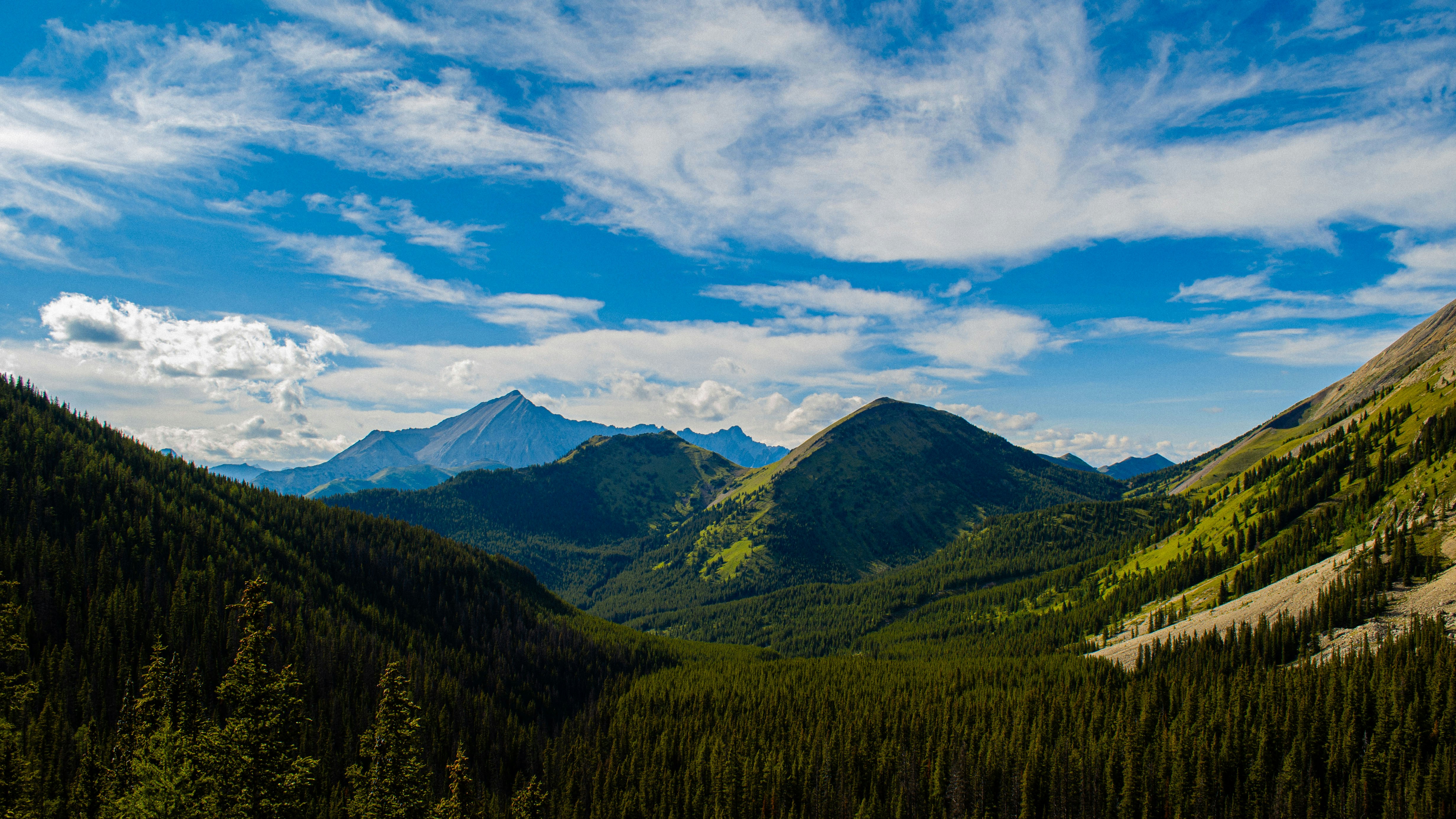 Photo by dmytro_yarish