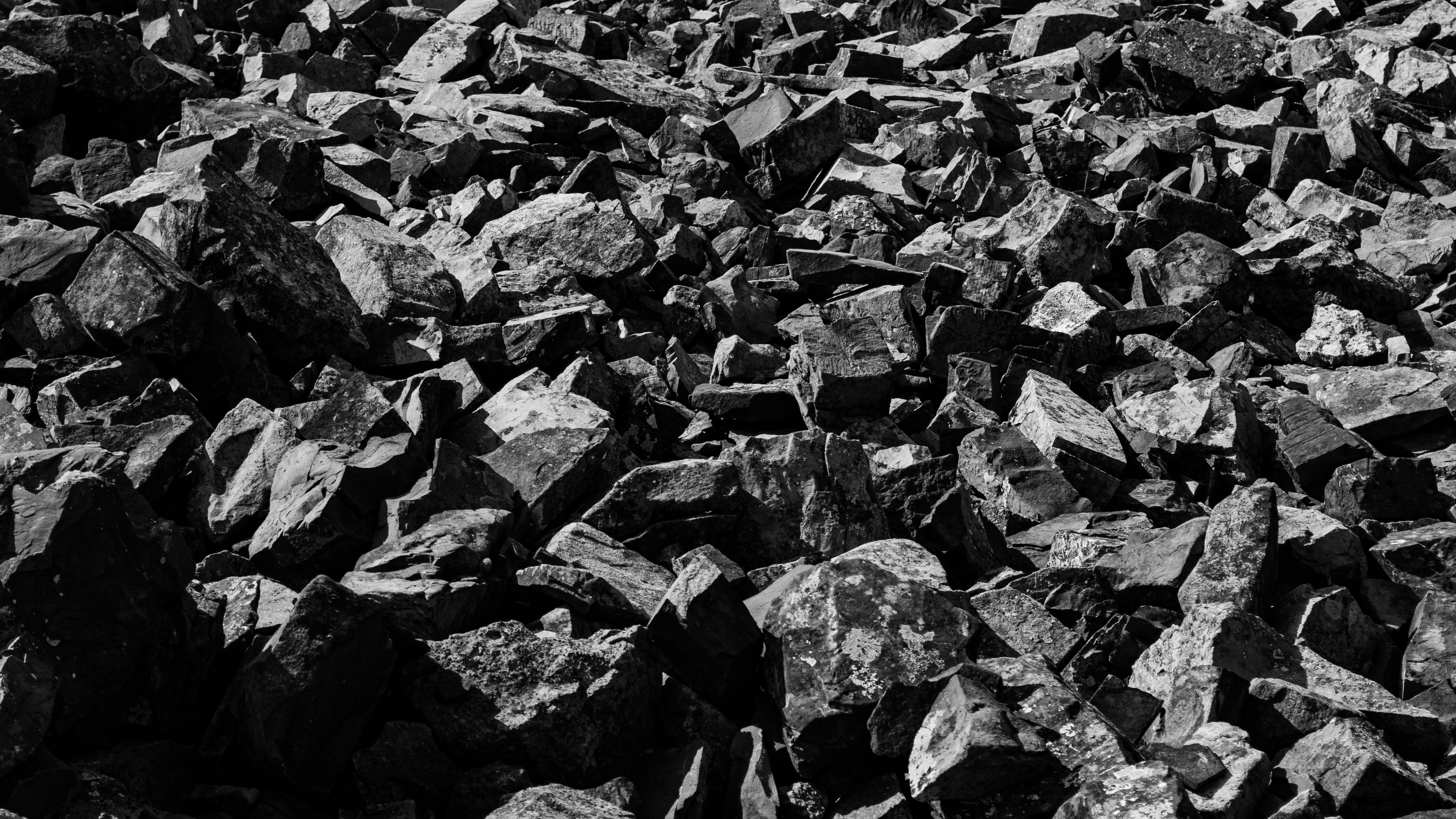 Photo by dmytro_yarish