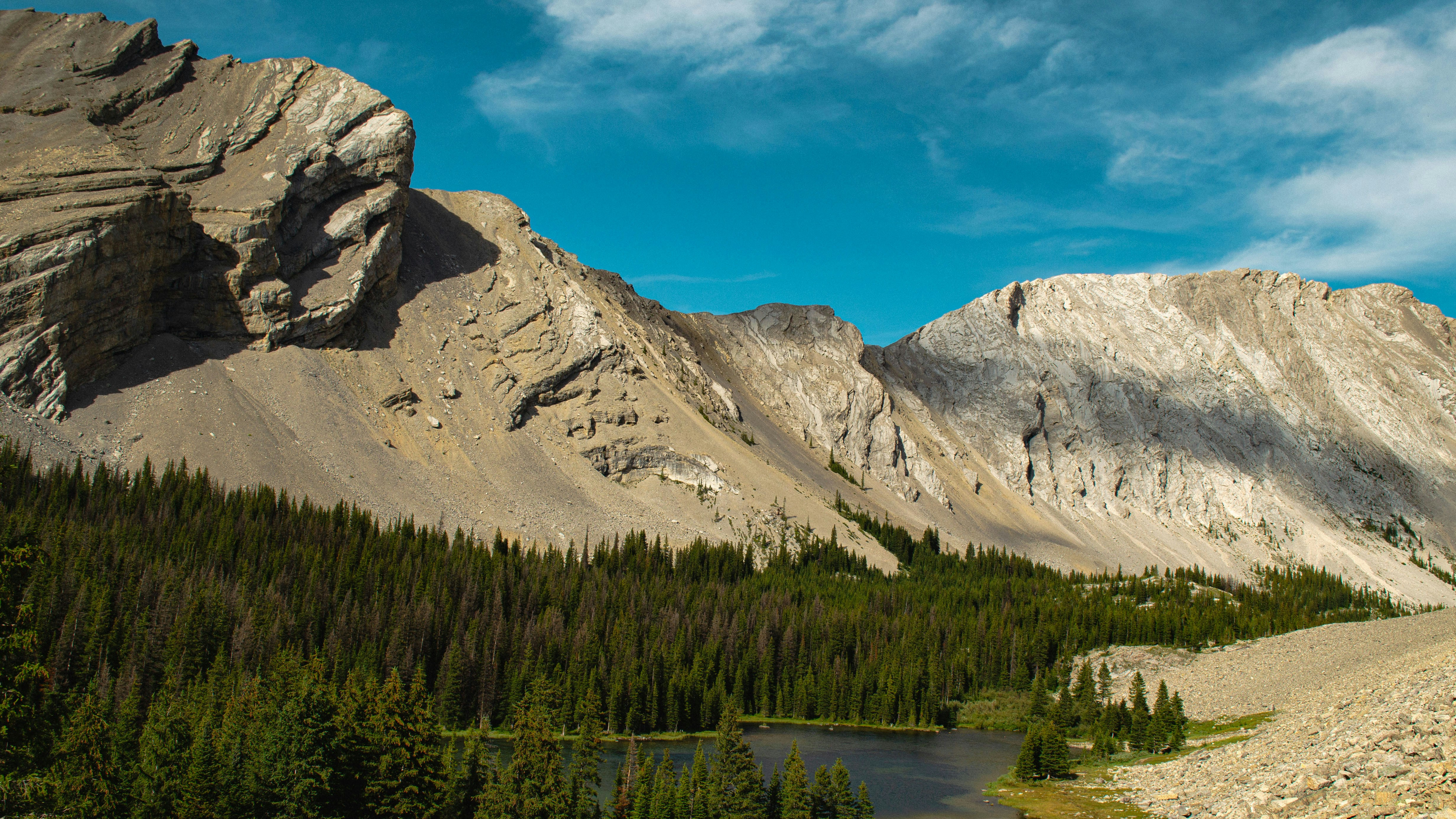 Photo by dmytro_yarish