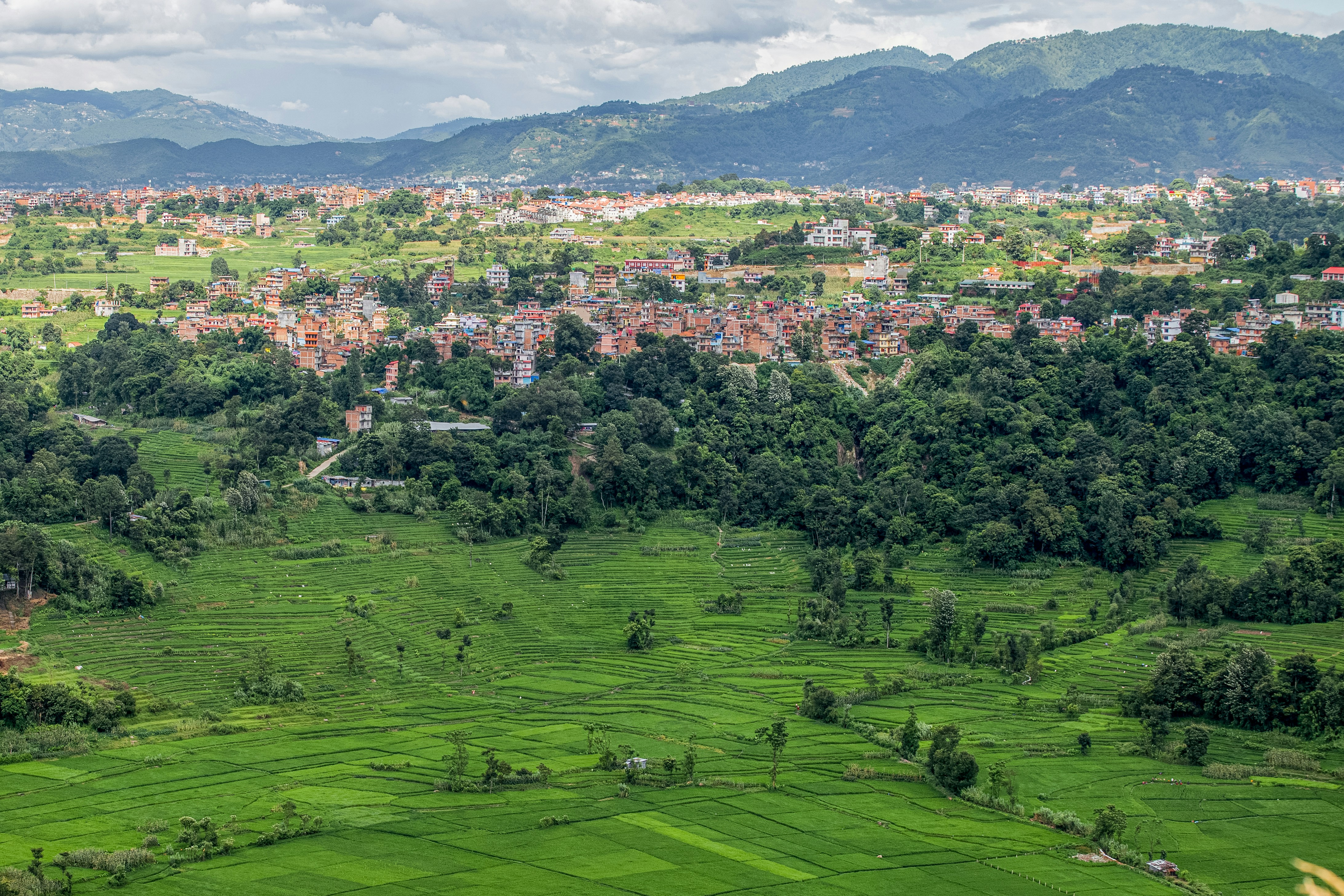 Rice terraces in countryside
