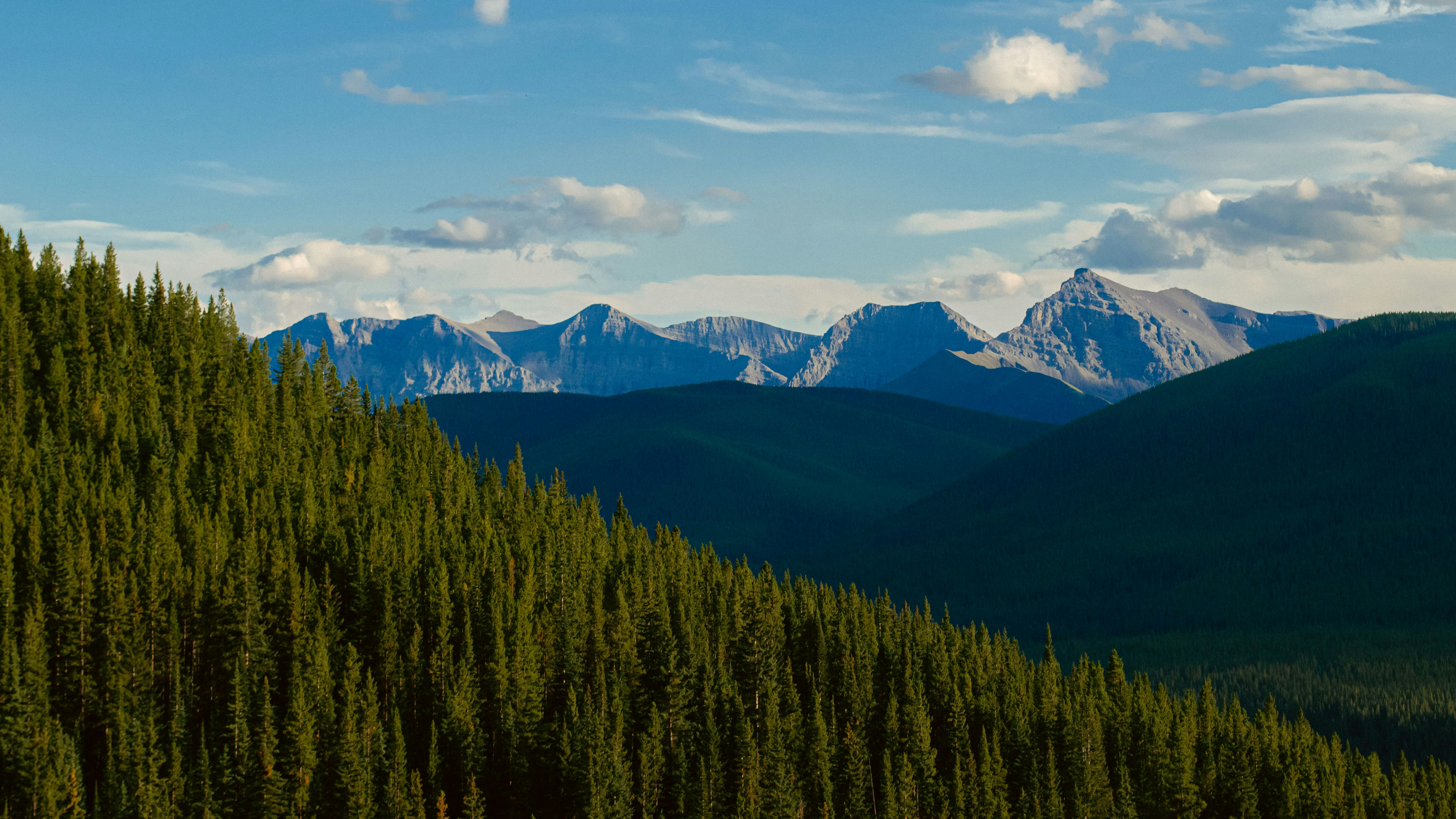 Photo by dmytro_yarish