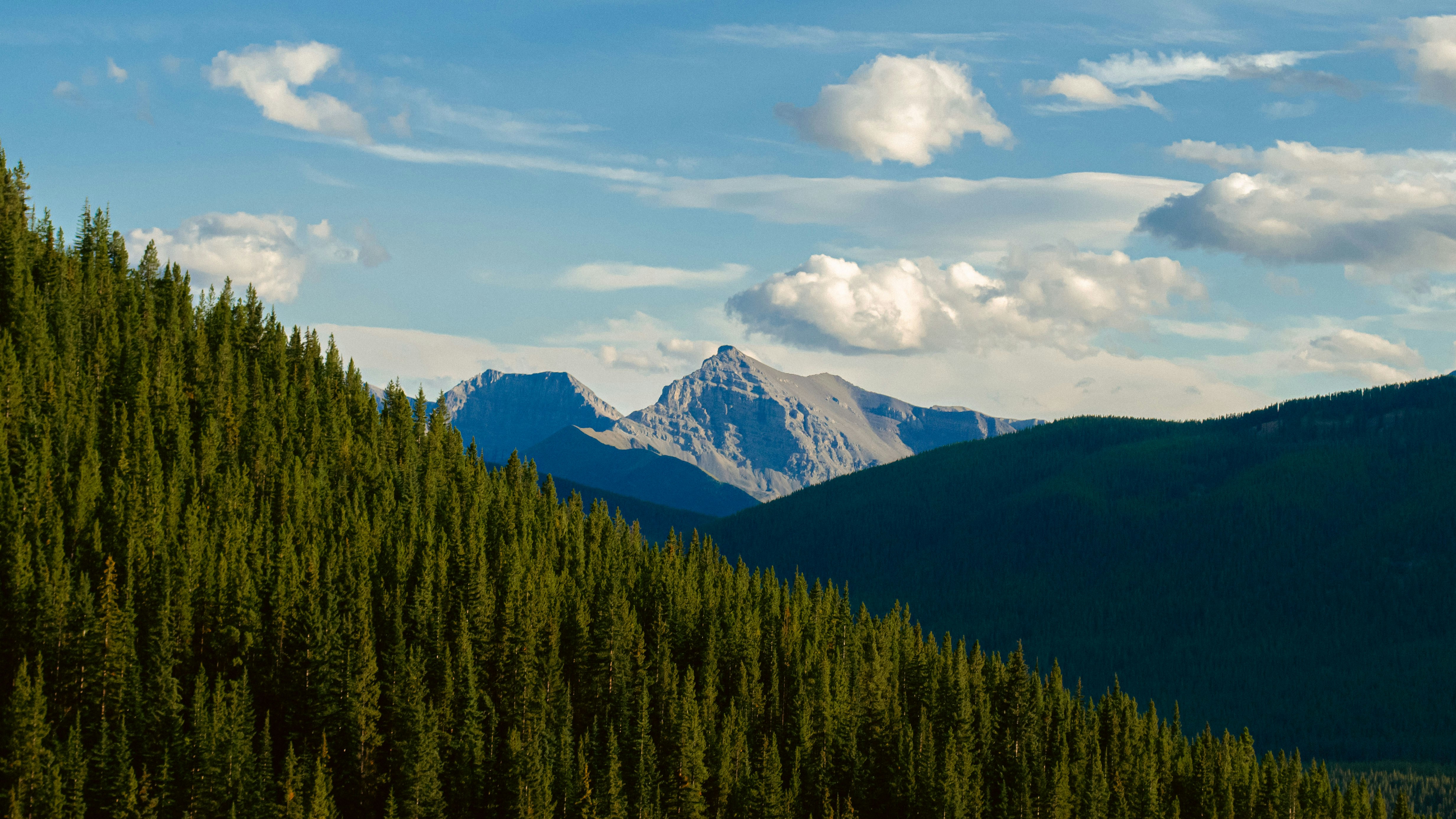 Photo by dmytro_yarish