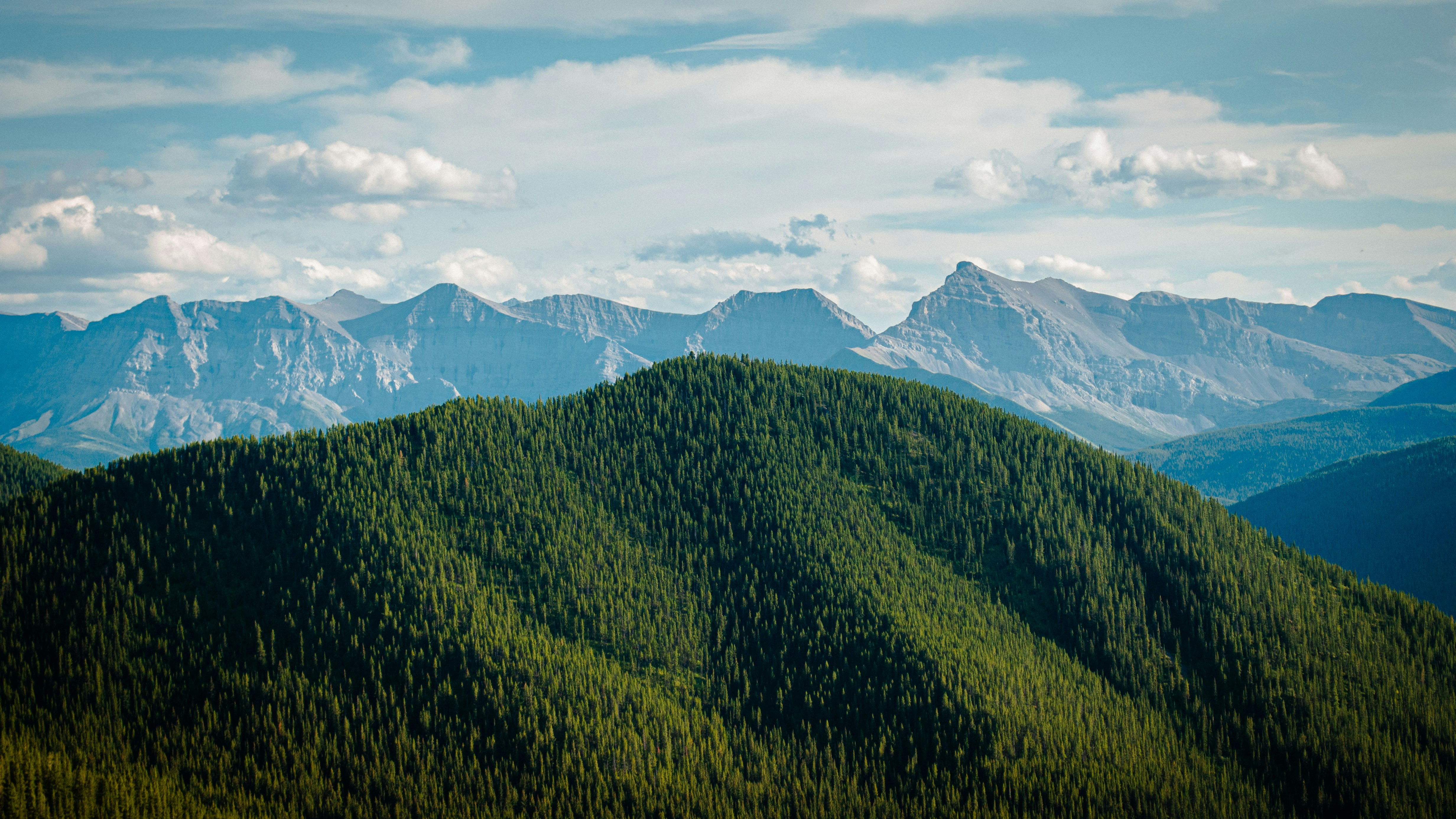 Photo by dmytro_yarish