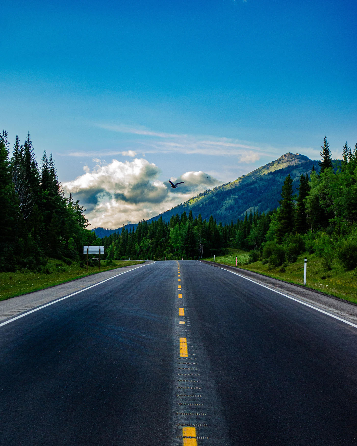 Offene Straße durch eine Berglandschaft als Symbol für rauchfrei leben und neue Freiheit