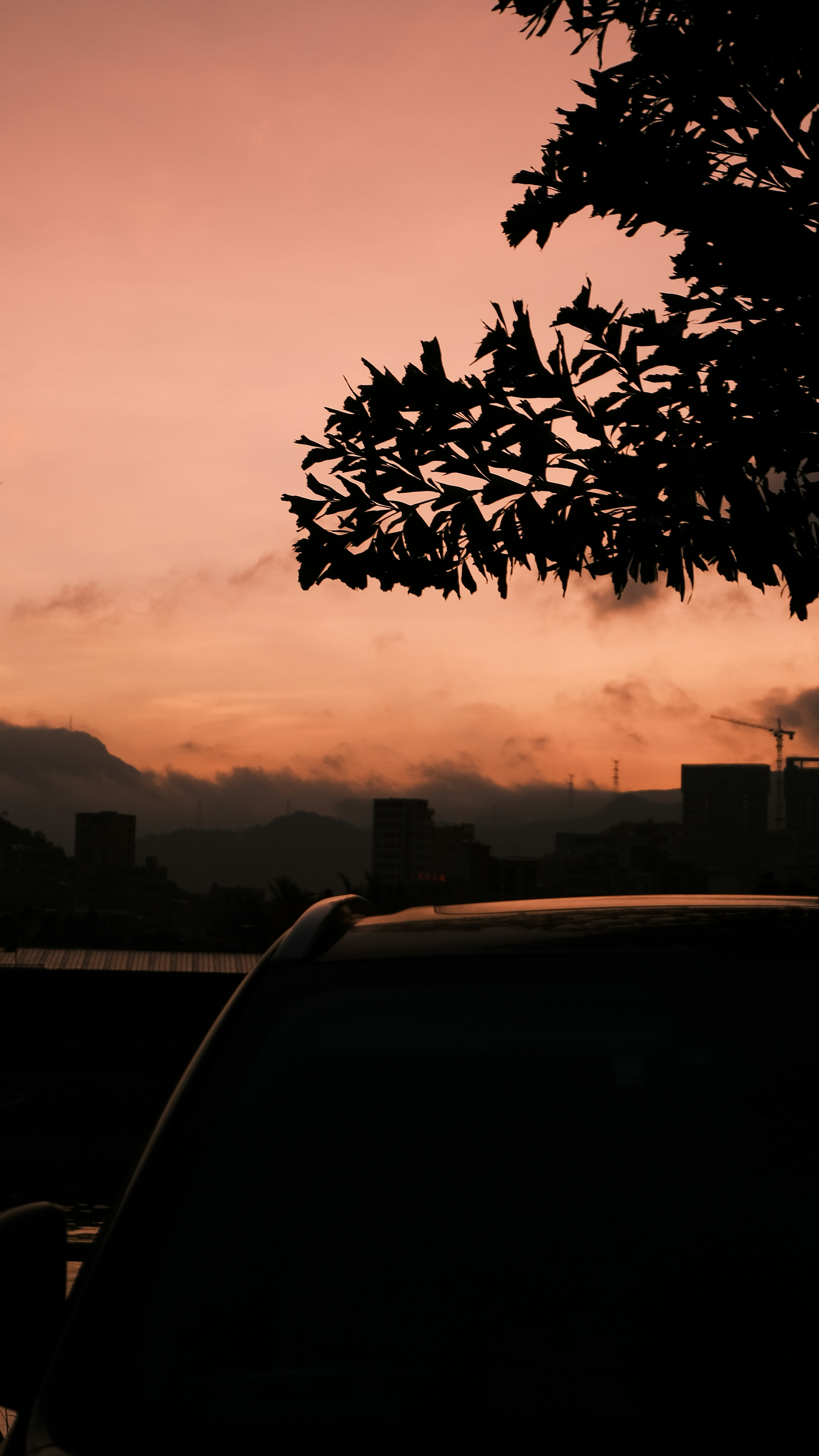 Photo by zxd0615