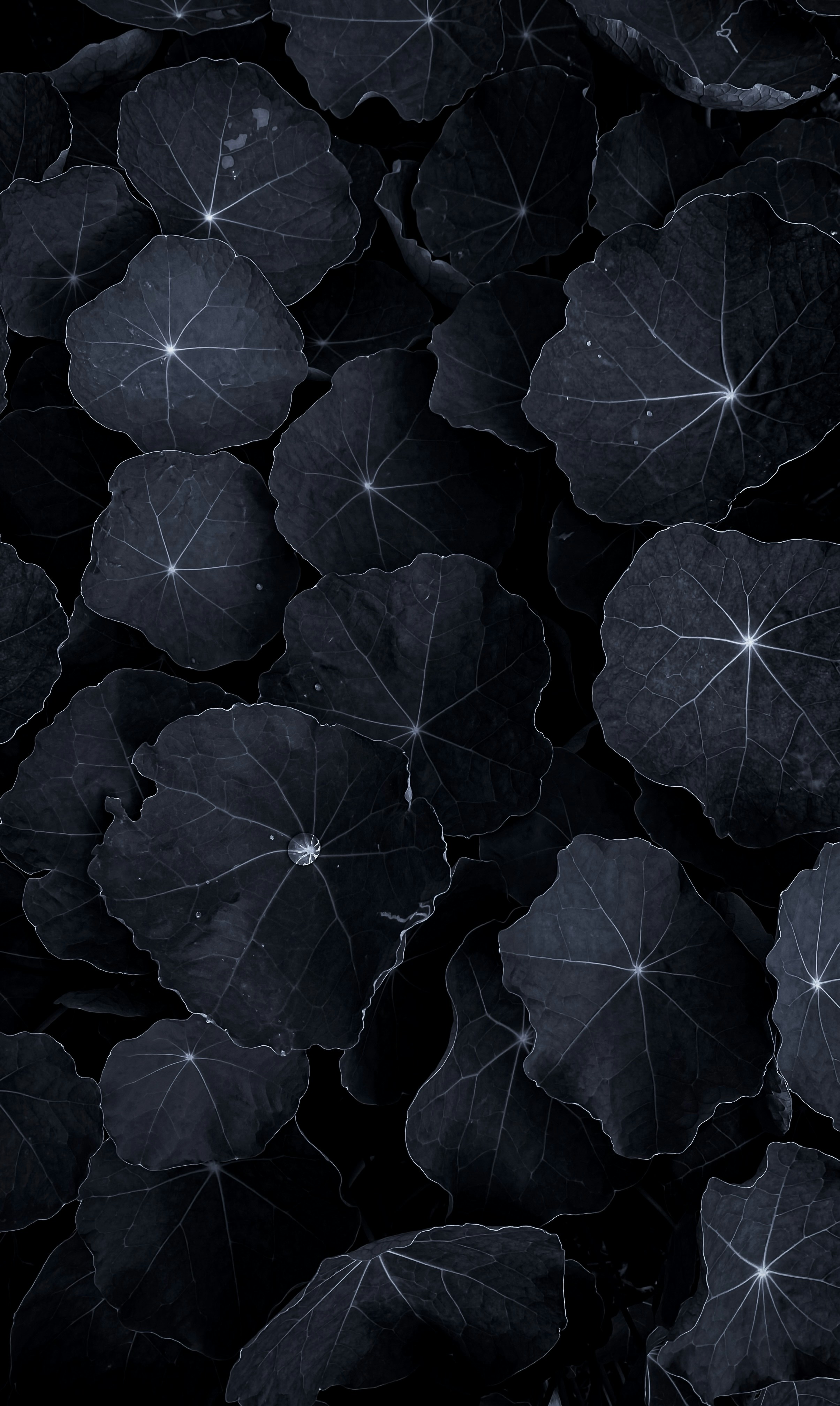 Photo by eugene_golovesov