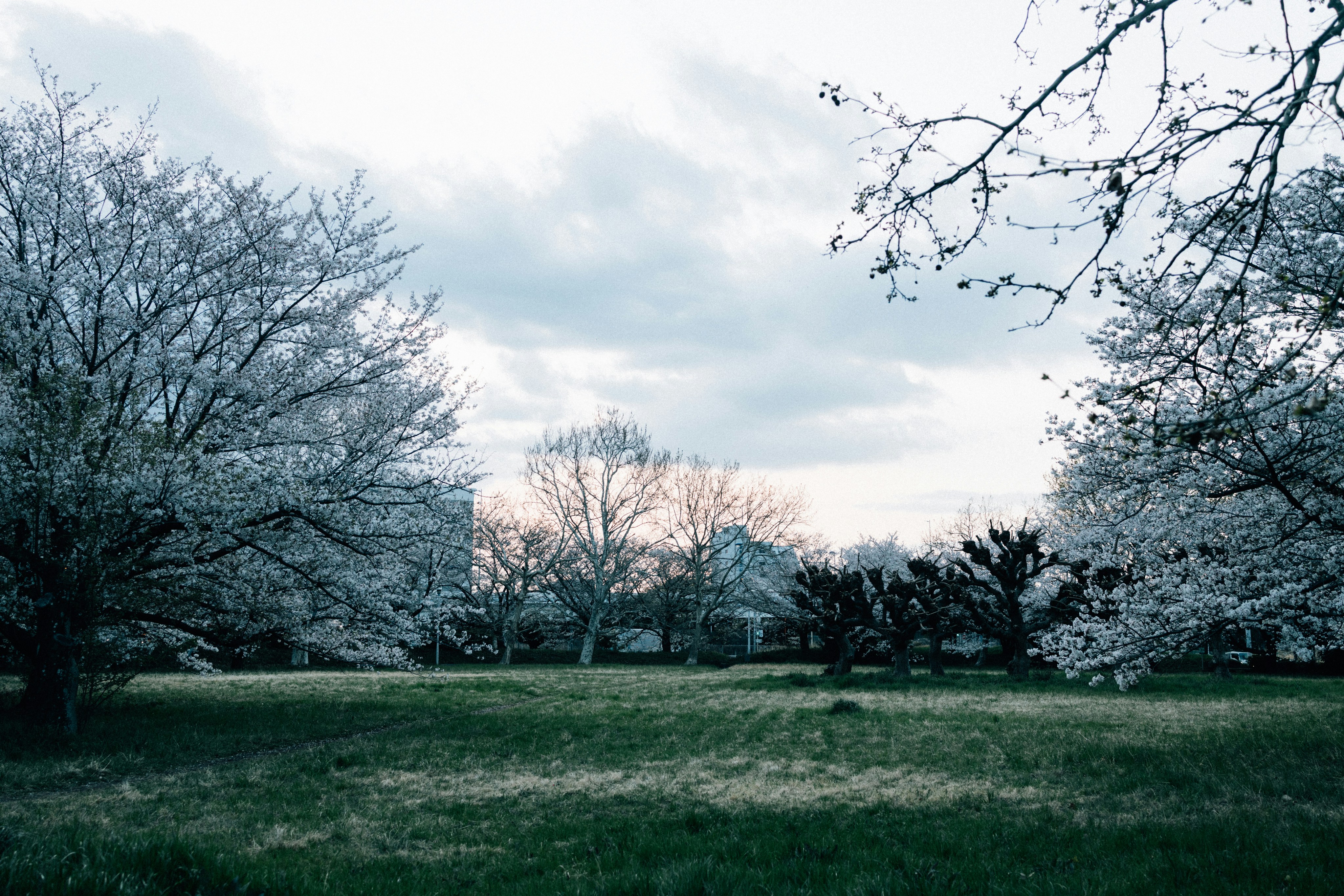 Photo by tsuyoshikozu