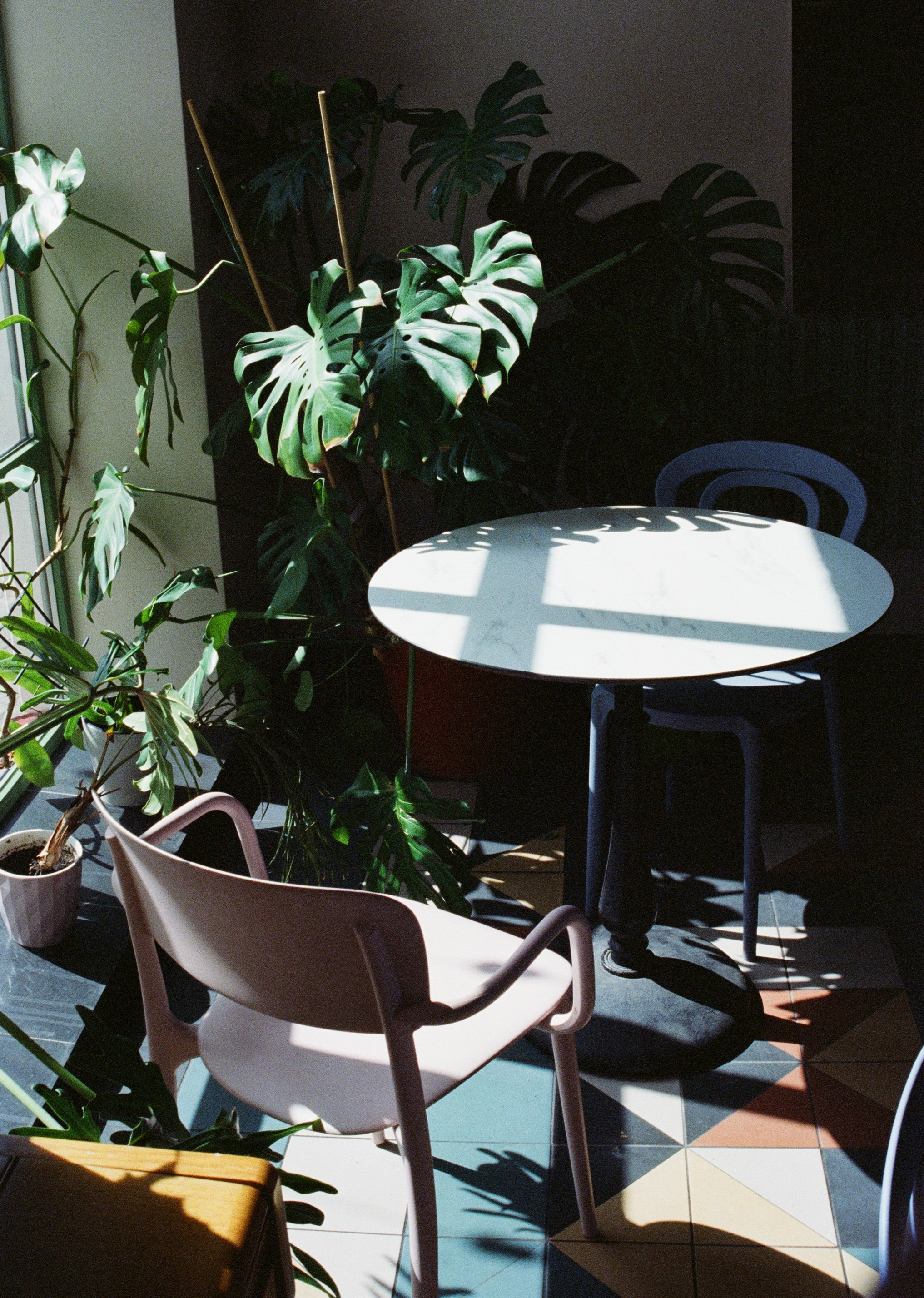 Photo by valeria_klys