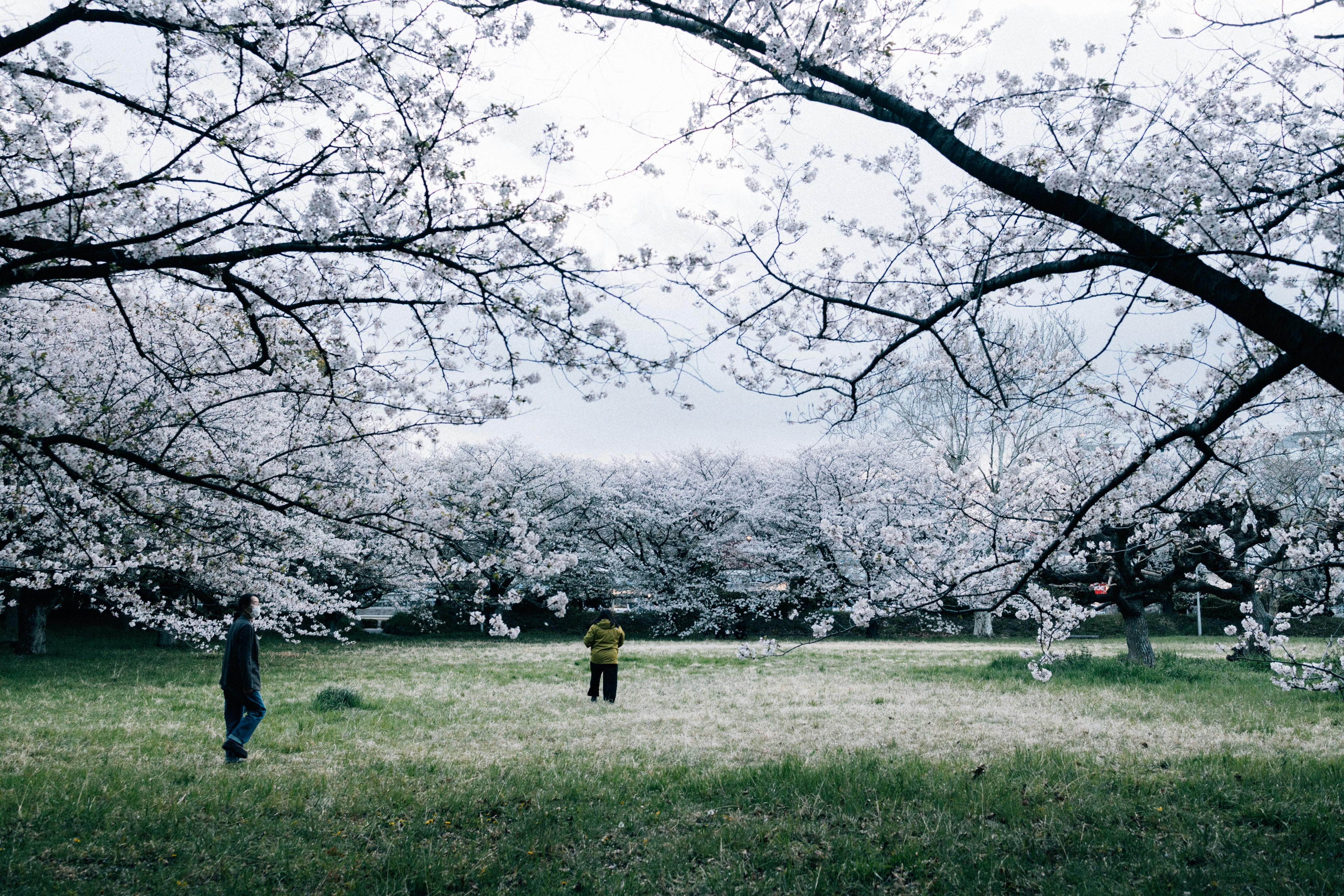 Photo by tsuyoshikozu