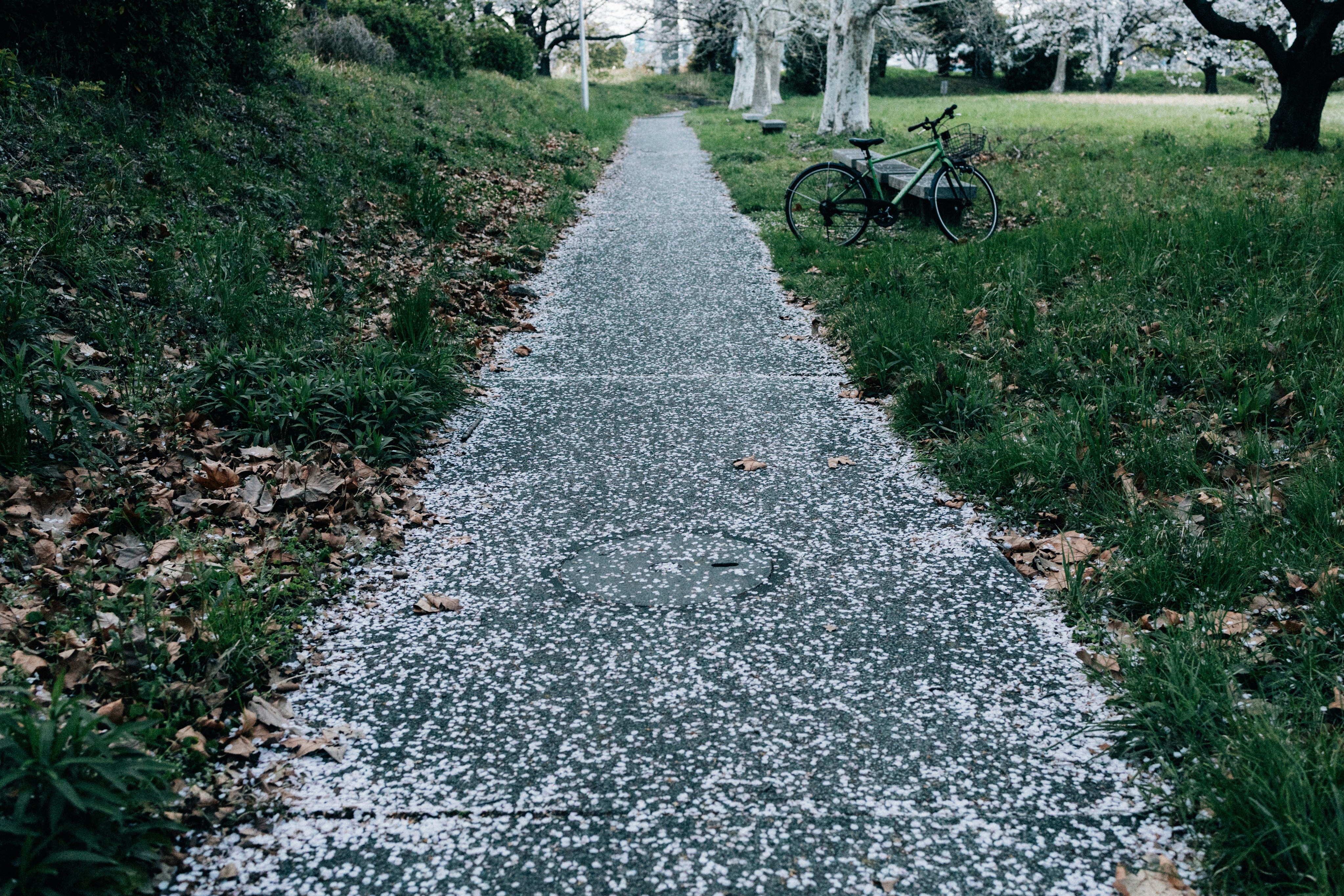 A clean, minimalist image showing a bright path that splits into two distinct directions, representing the strategic choices businesses now face in the AI search era.