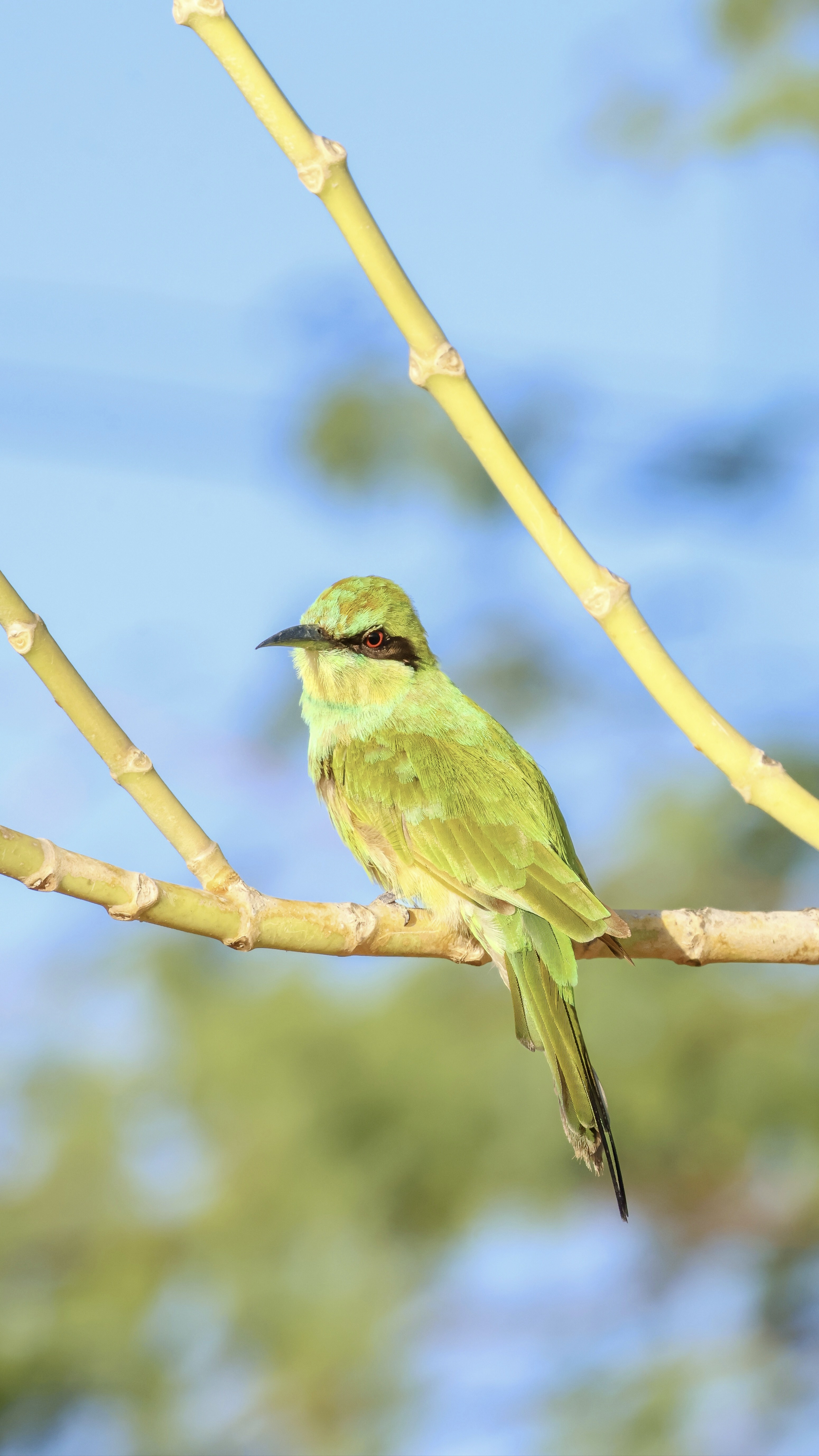 Photo by bakkiya2197