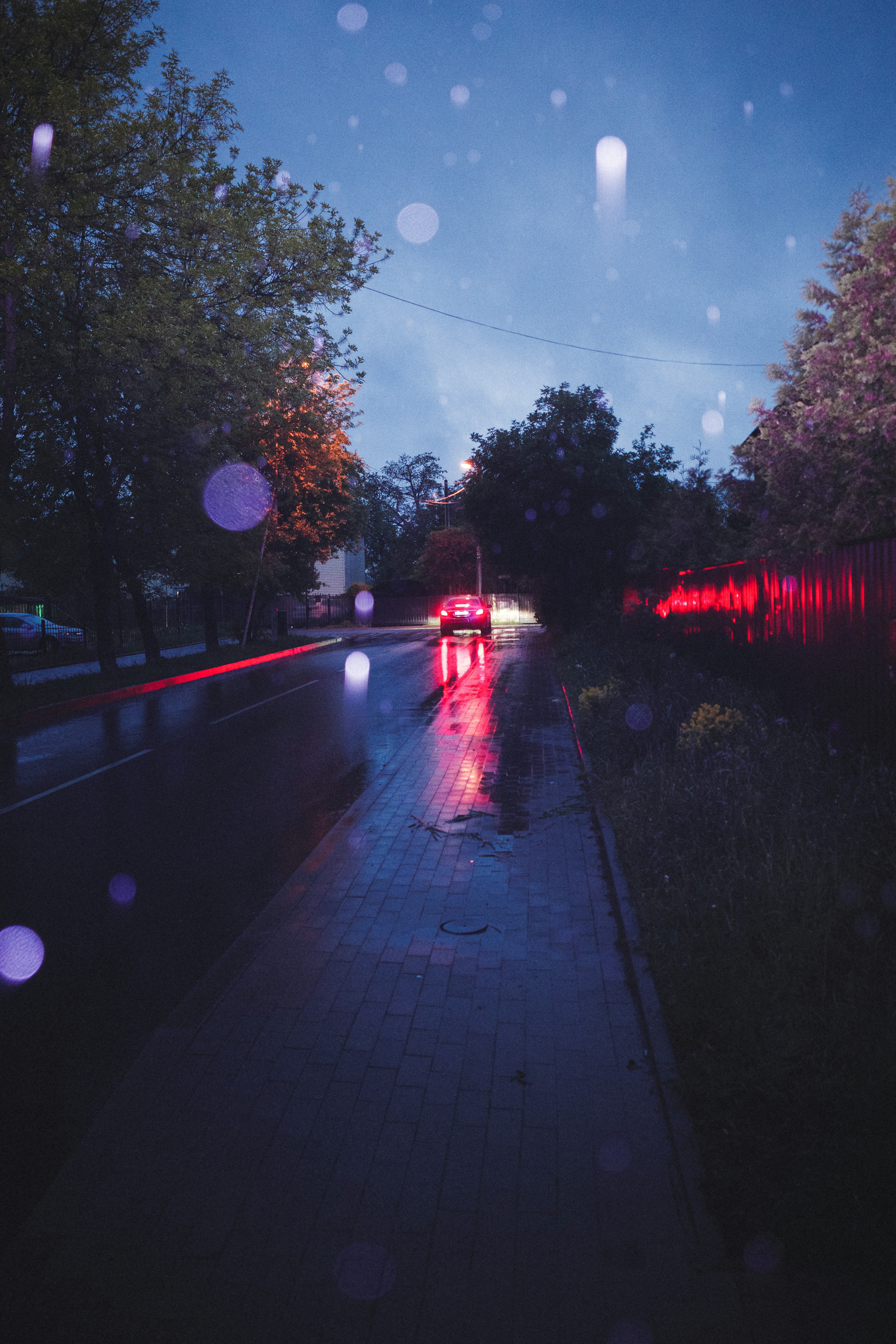 Photo by sunify