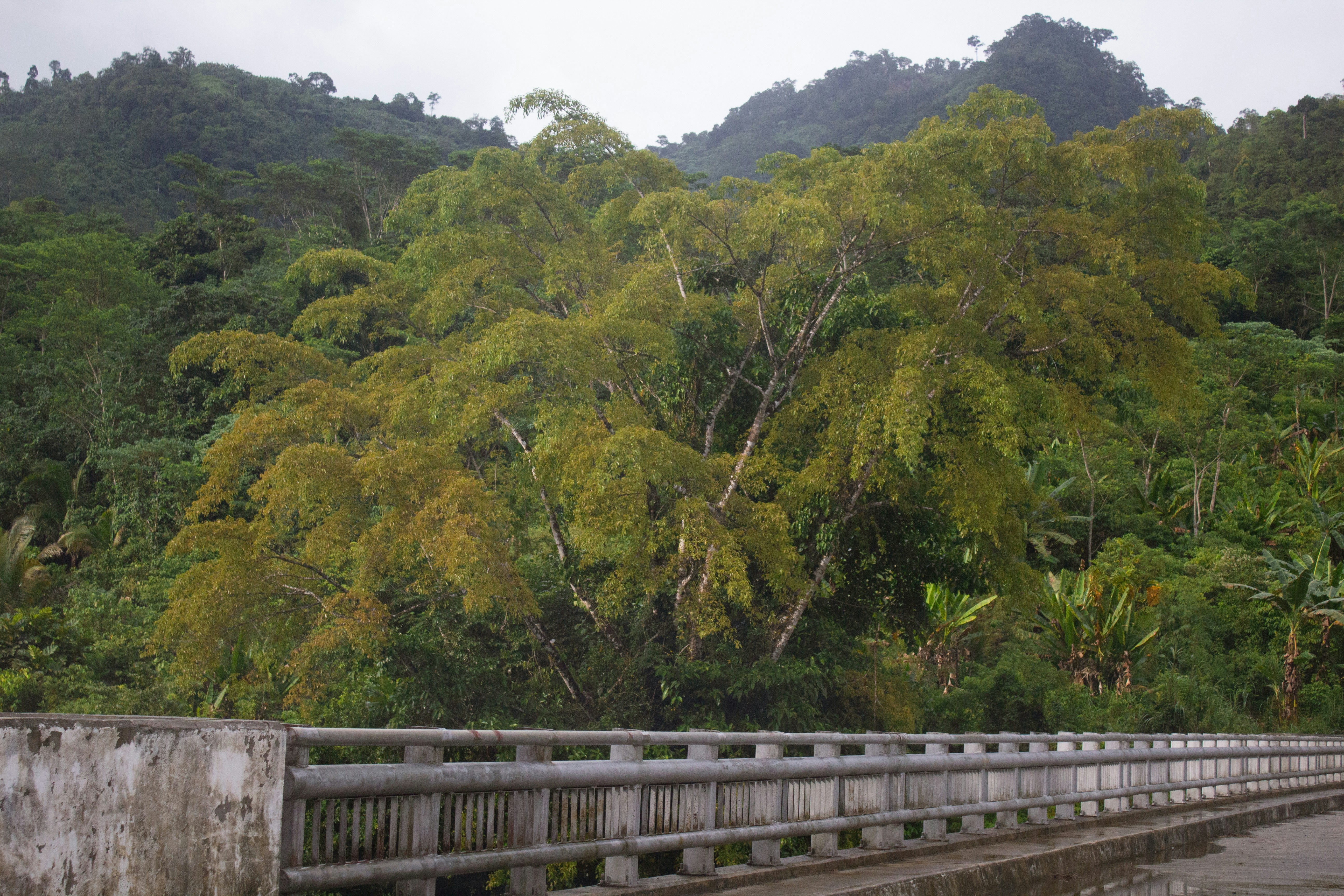 Photo by russellphotograpy