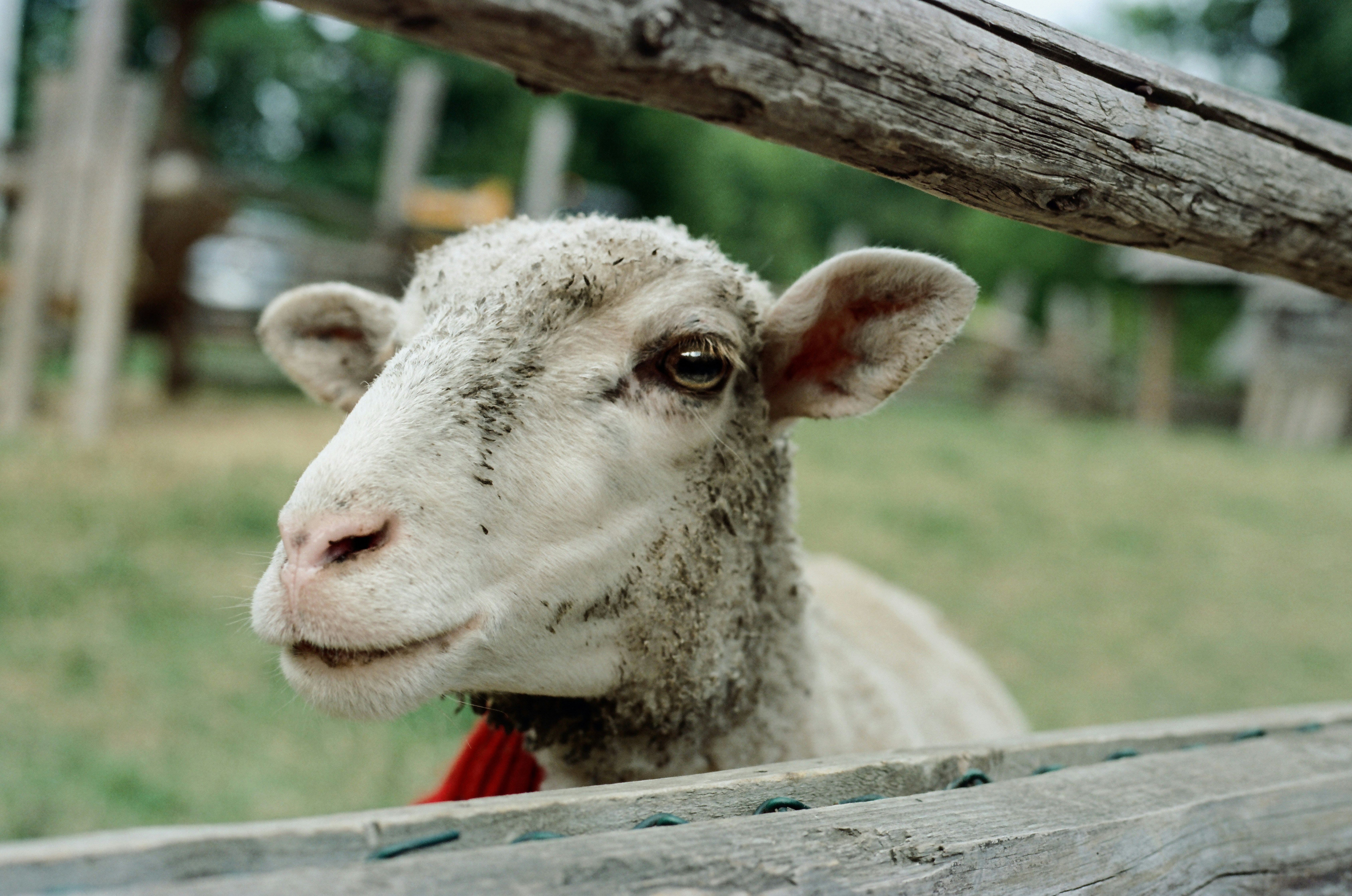 Photo by mineral_of_demon