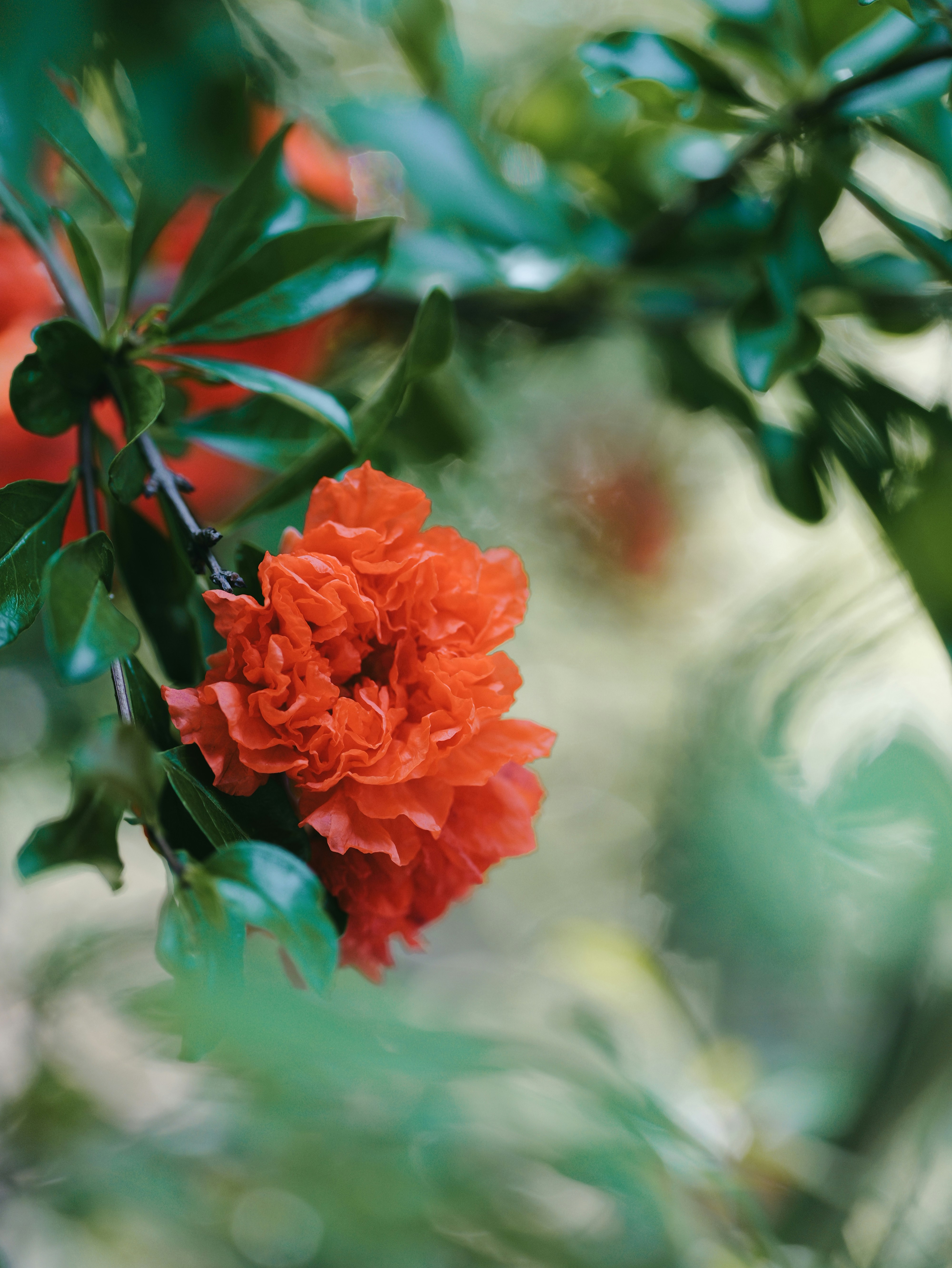 Photo by aaronburden