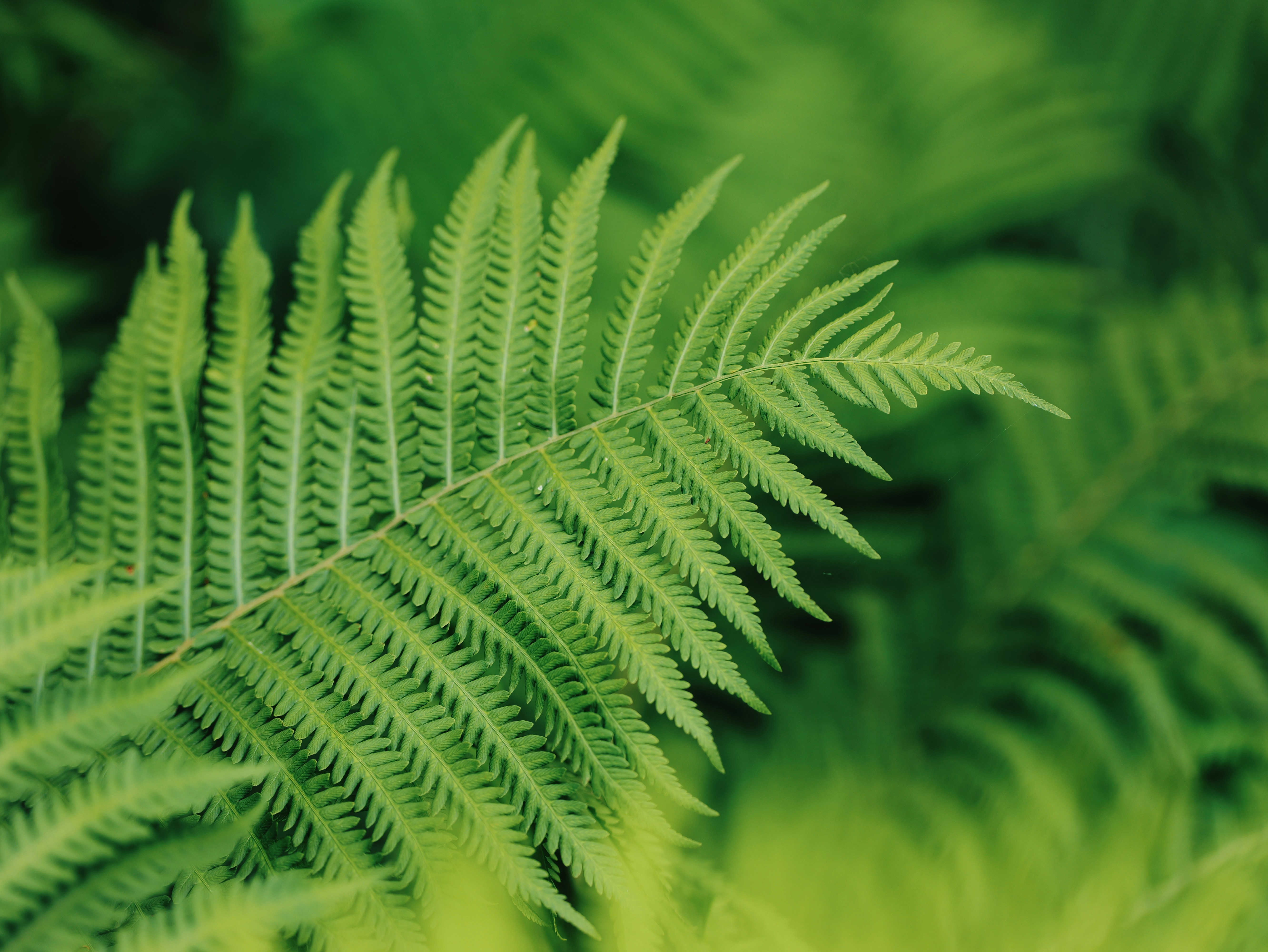 As You Delve Into The Ways Christian Education Forms Personality And Faith, You Will Certainly Uncover The Surprising Impacts It Has On Future Leaders. What Ramifications Might This Hold For You?