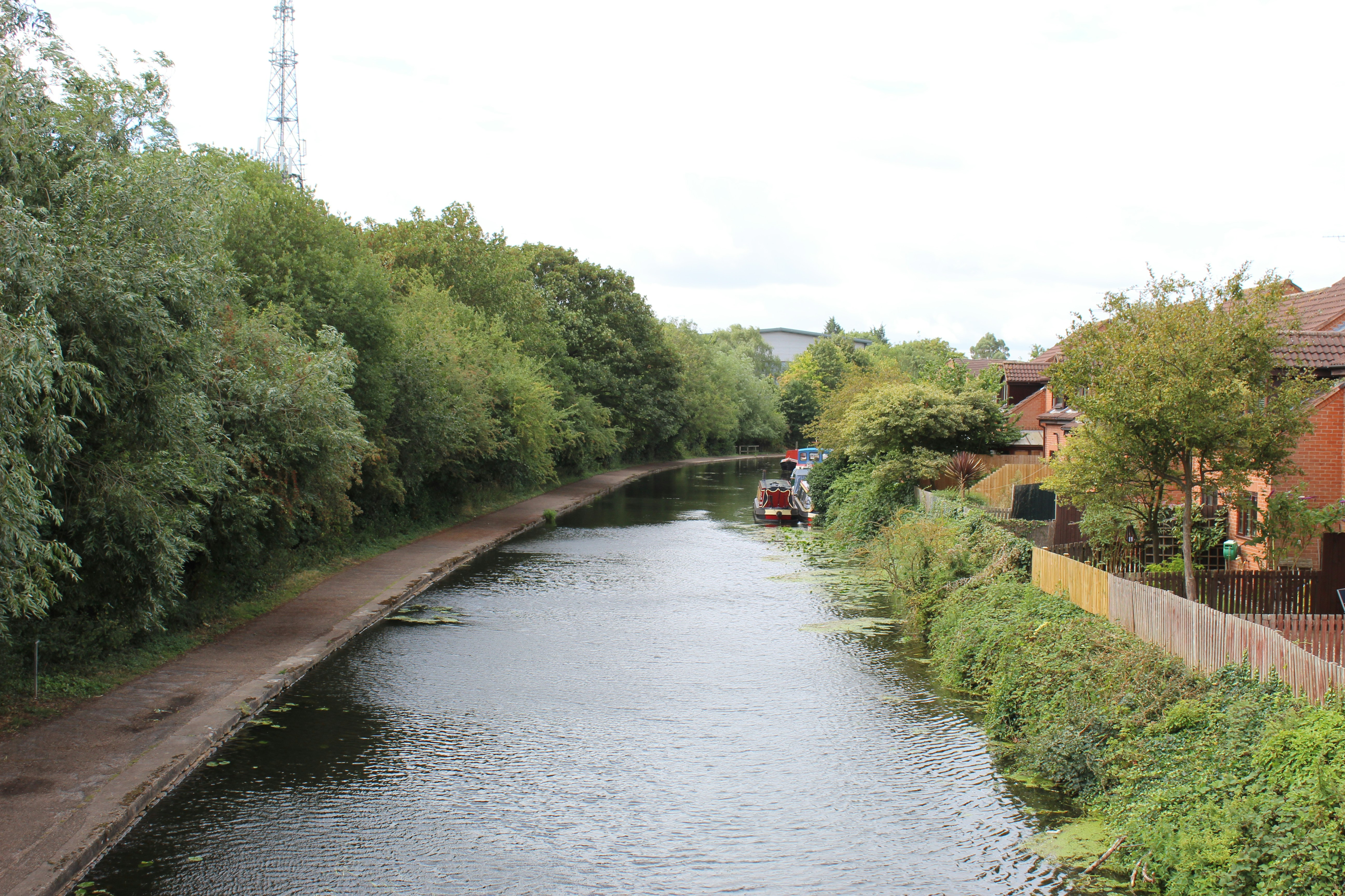 River flowing through a tree-lined urban area