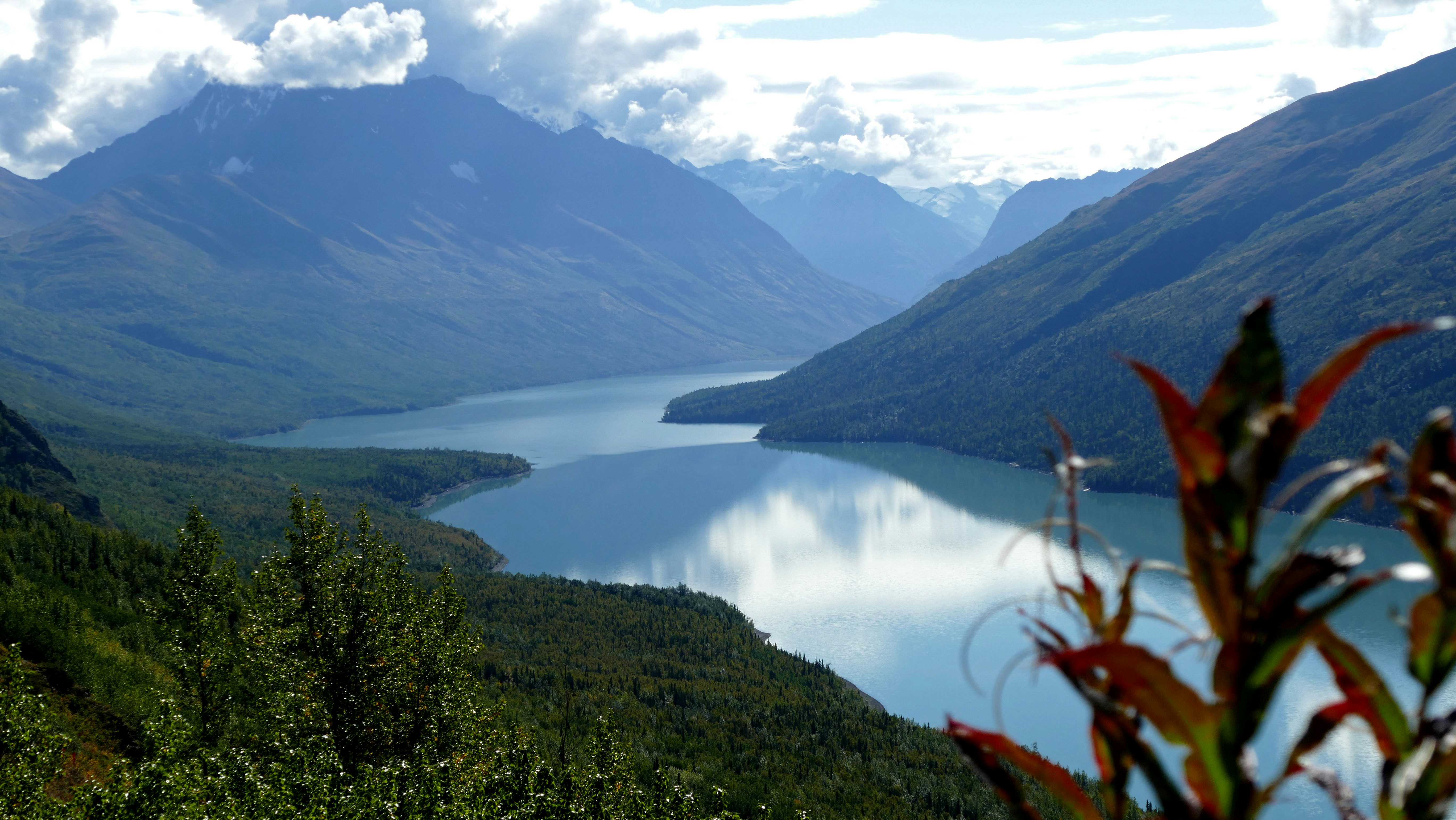 Photo by jorisbeugels