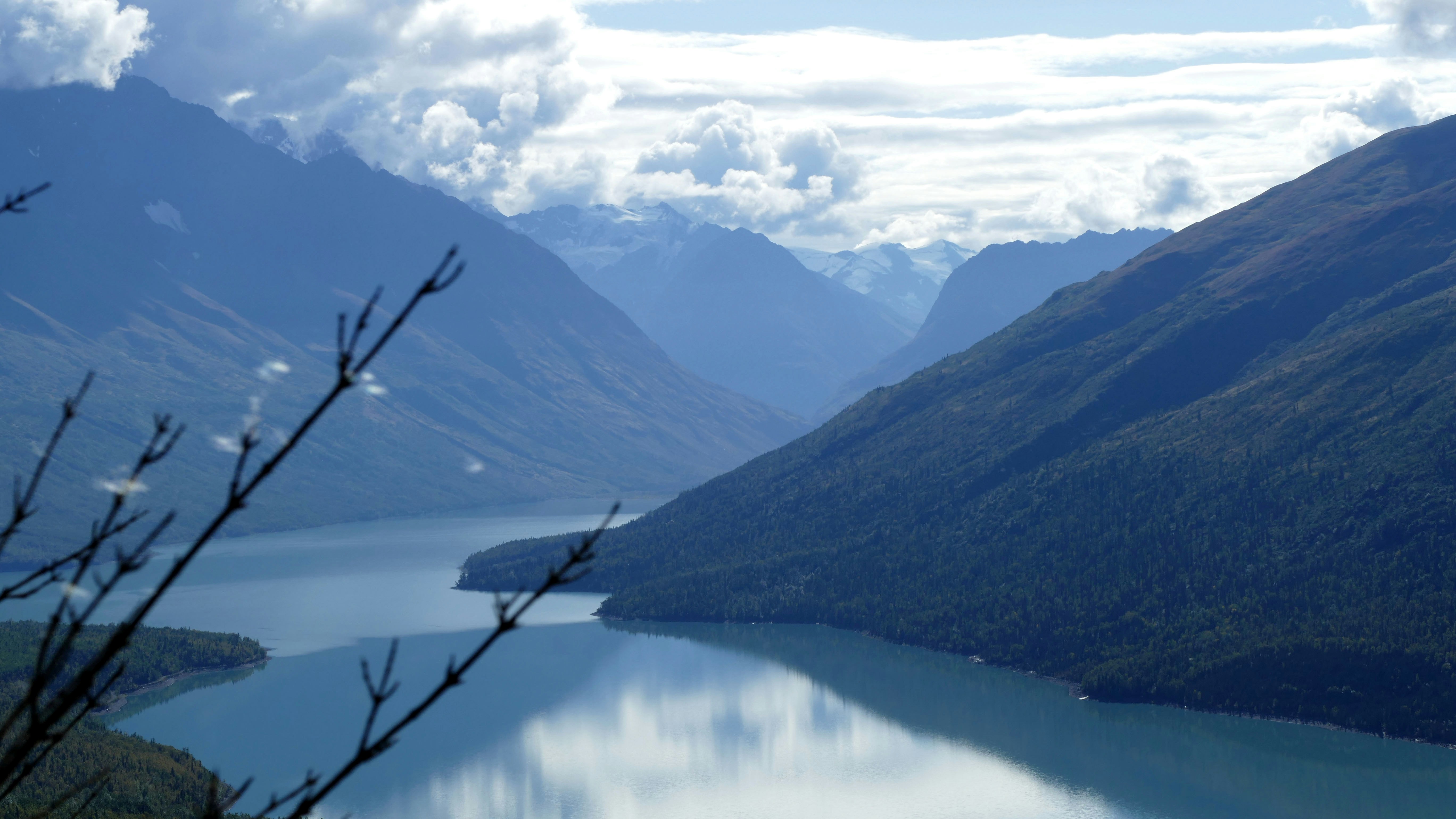 Photo by jorisbeugels