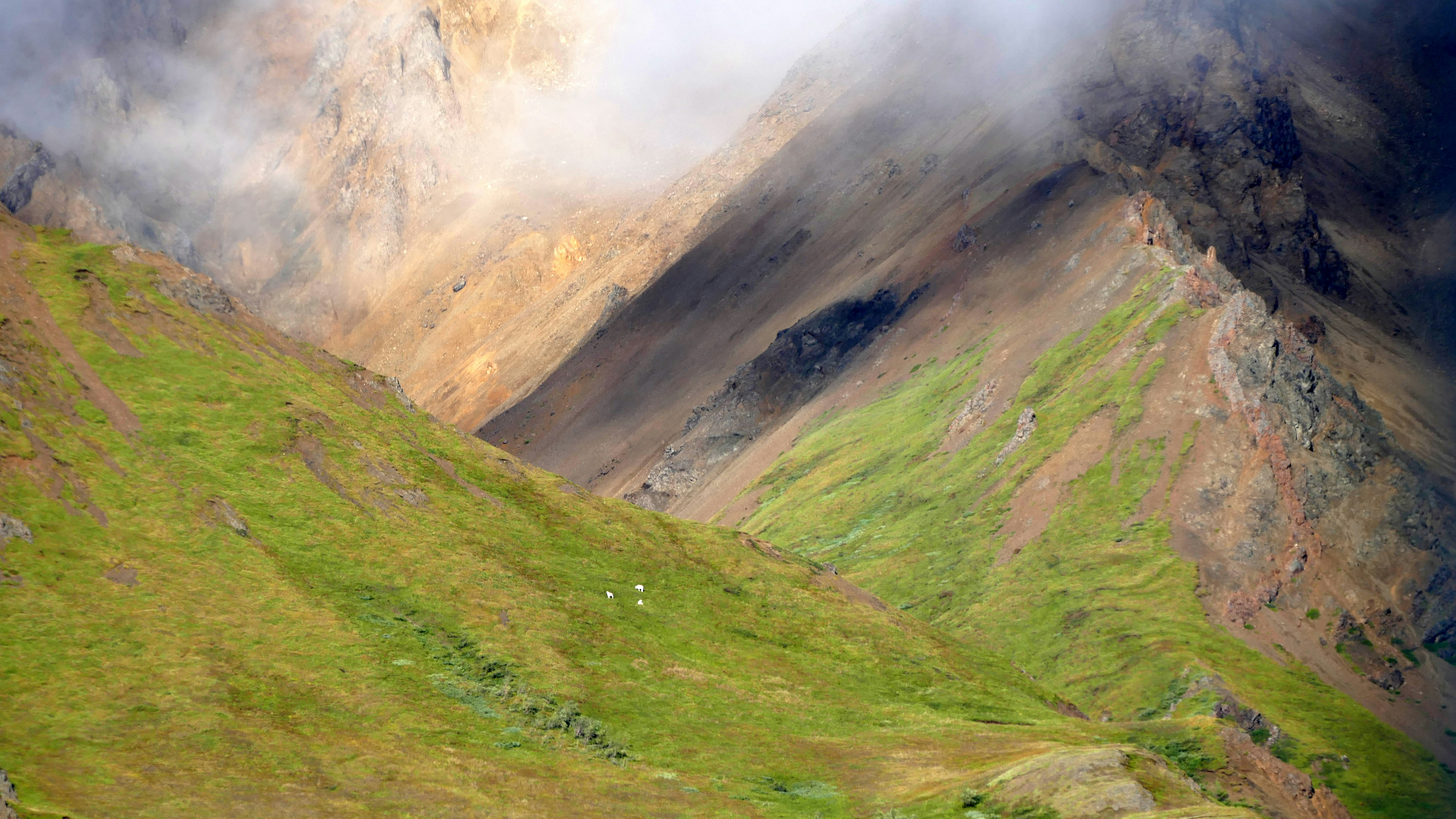 Photo by jorisbeugels