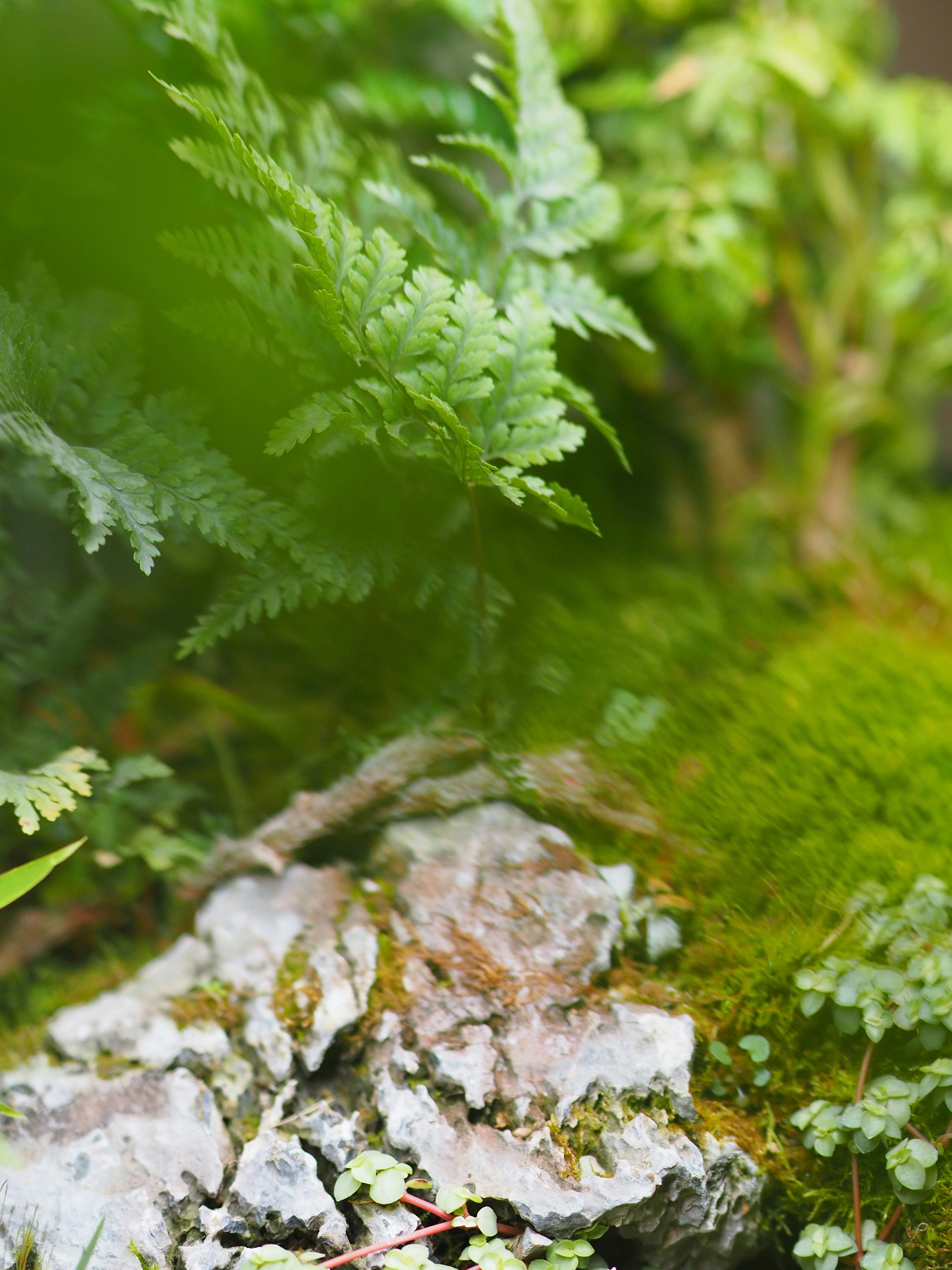 Photo by mianmian1997