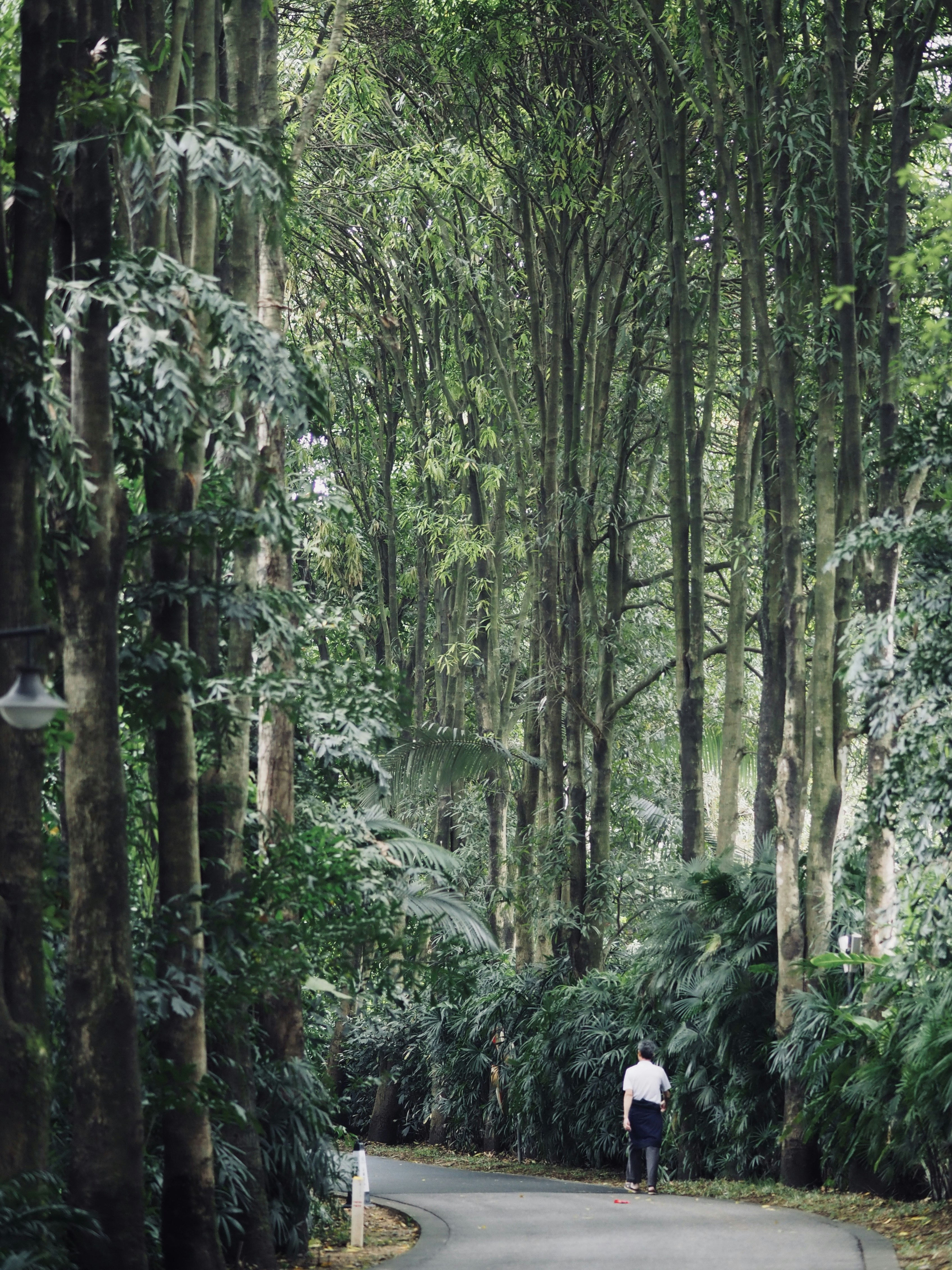 Photo by mianmian1997