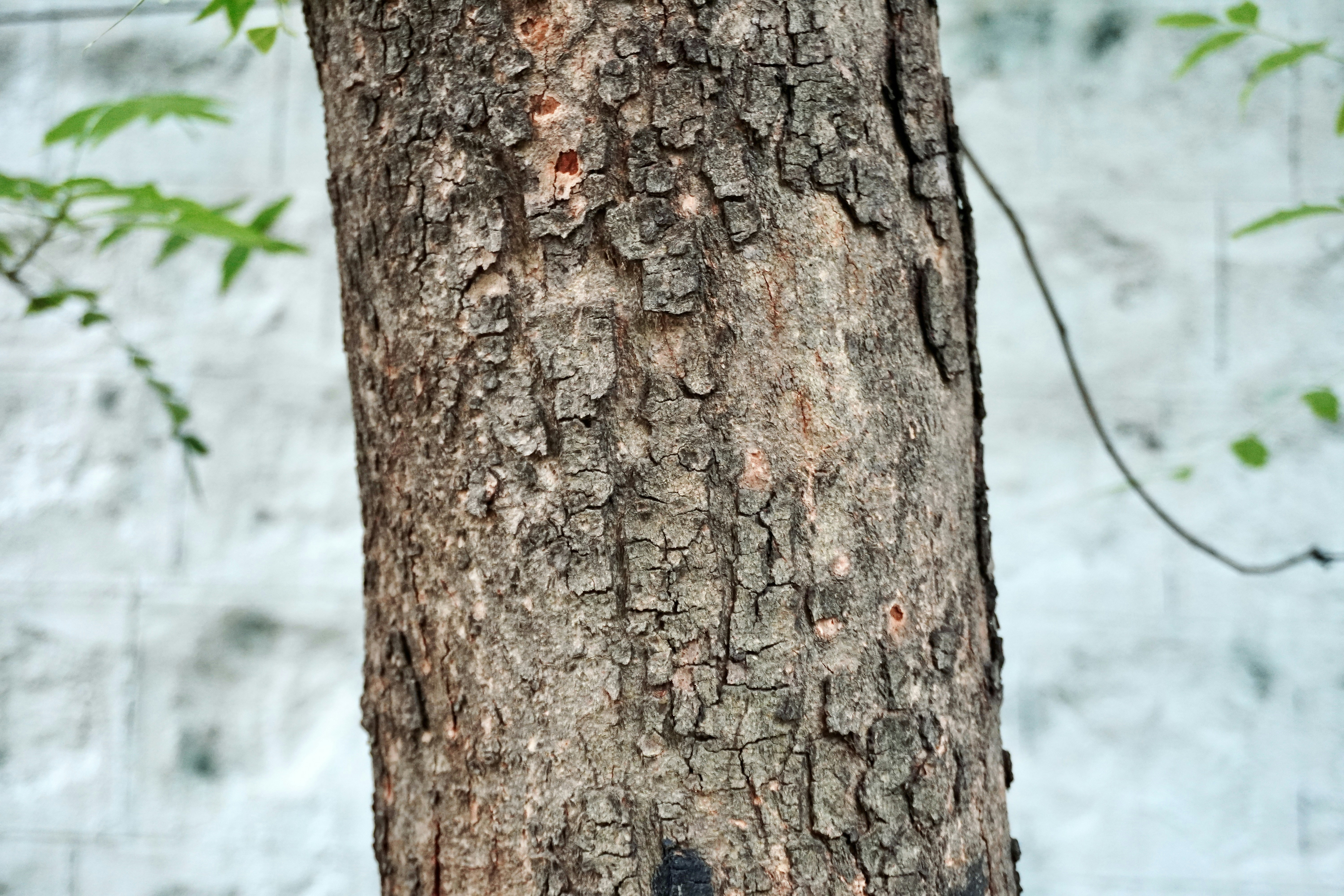 Photo by justjoker44