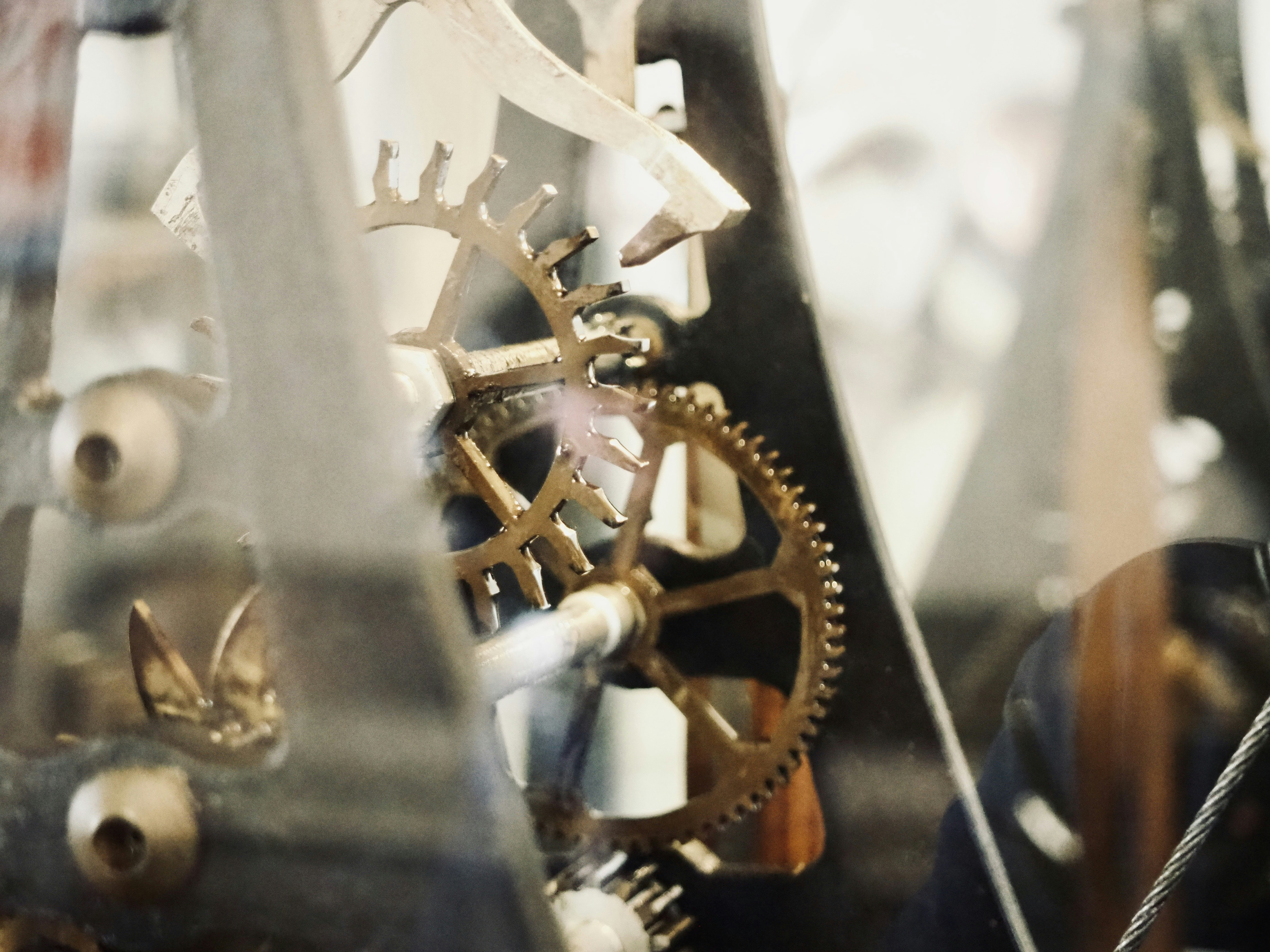 Photo by mianmian1997