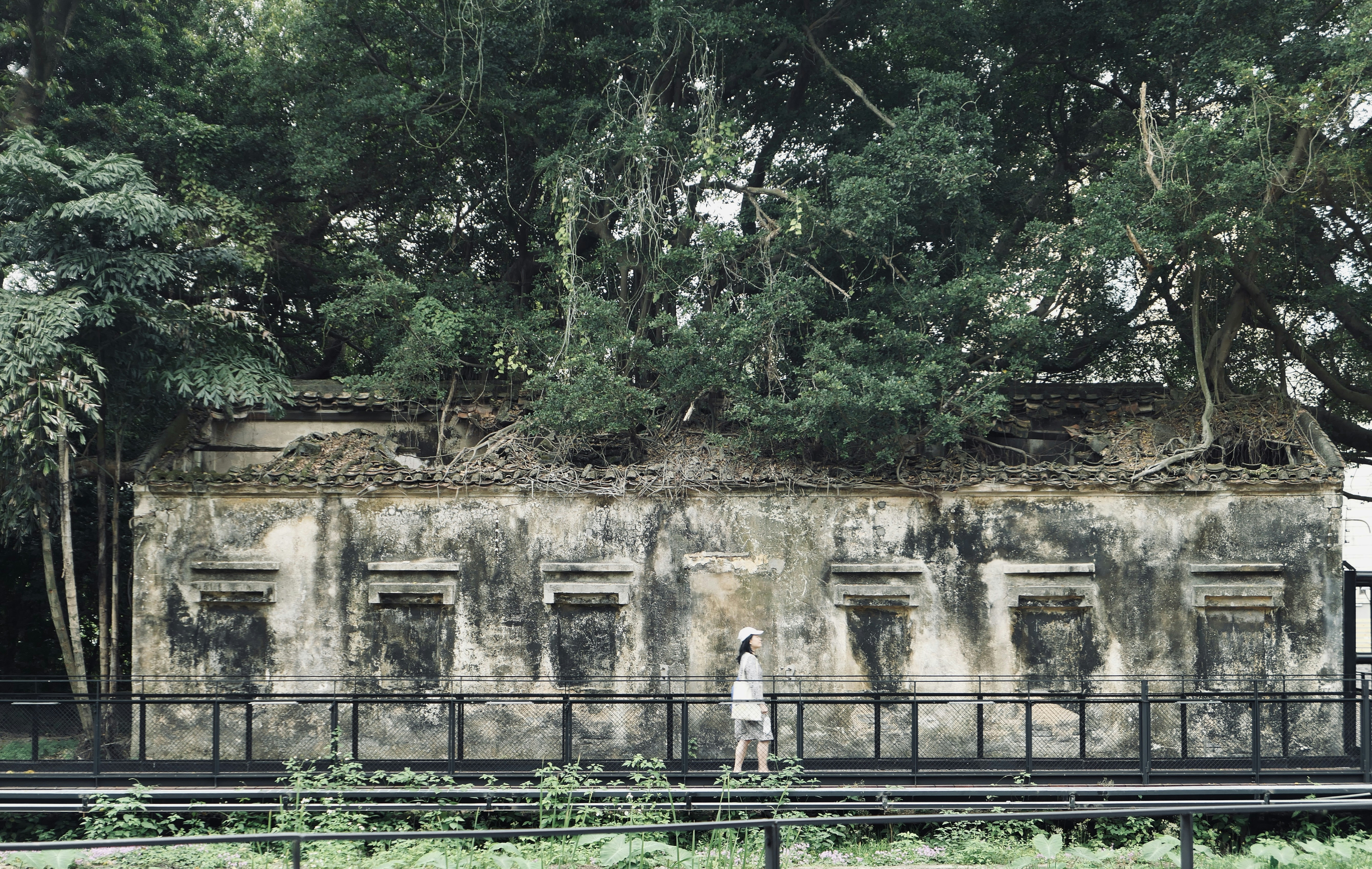 Photo by mianmian1997