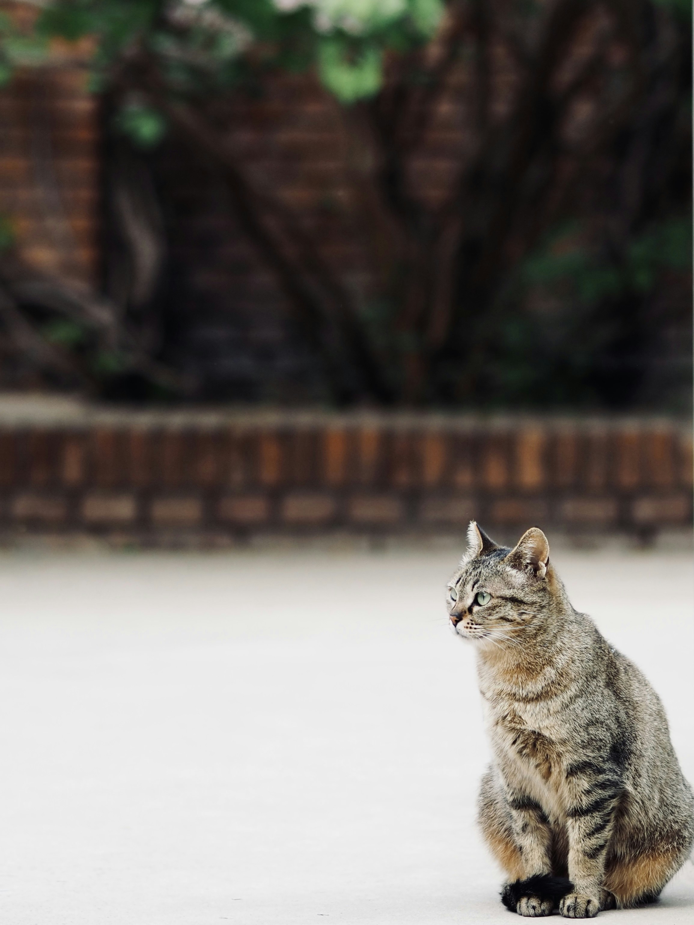 Photo by mianmian1997