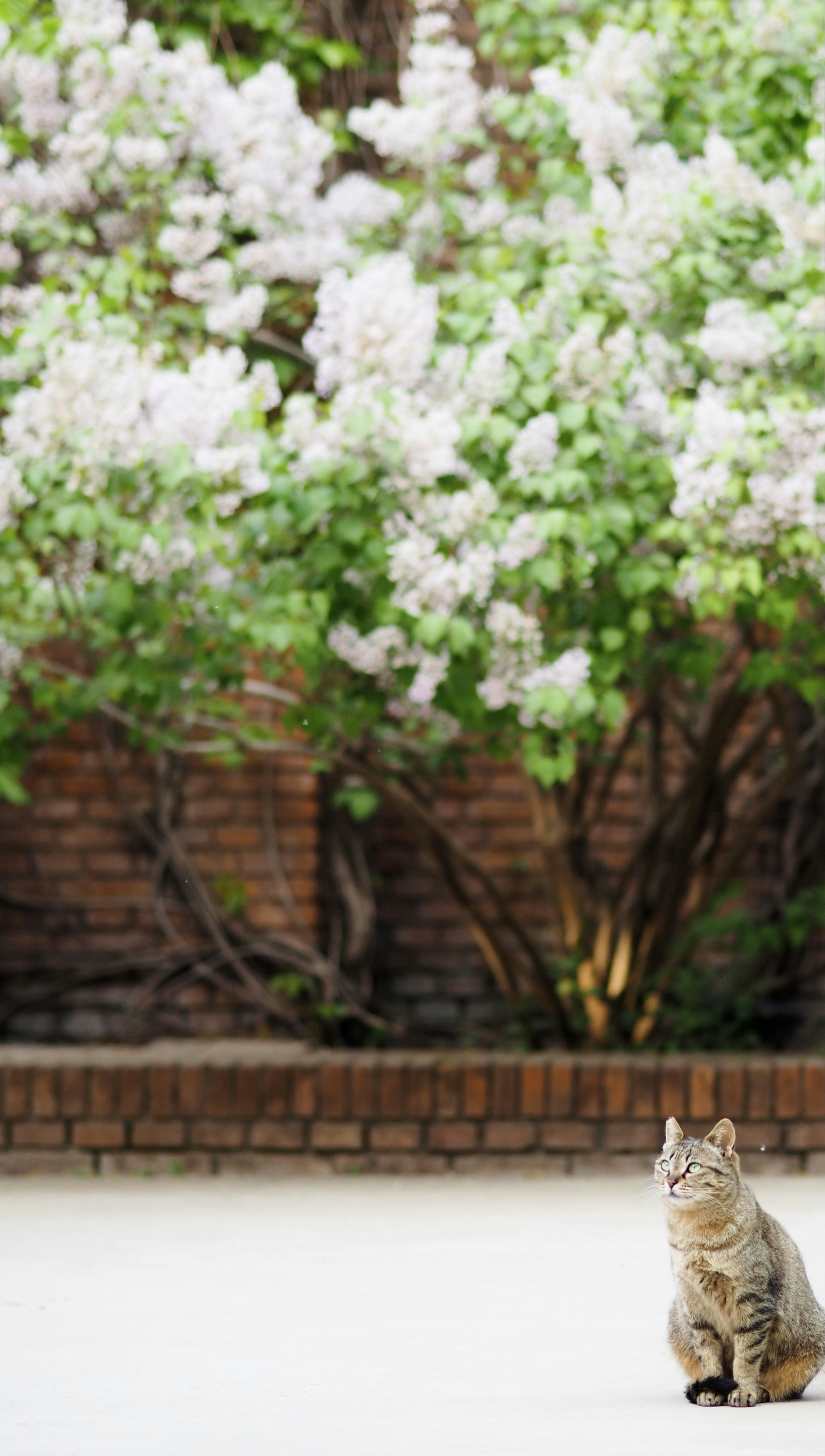 Photo by mianmian1997