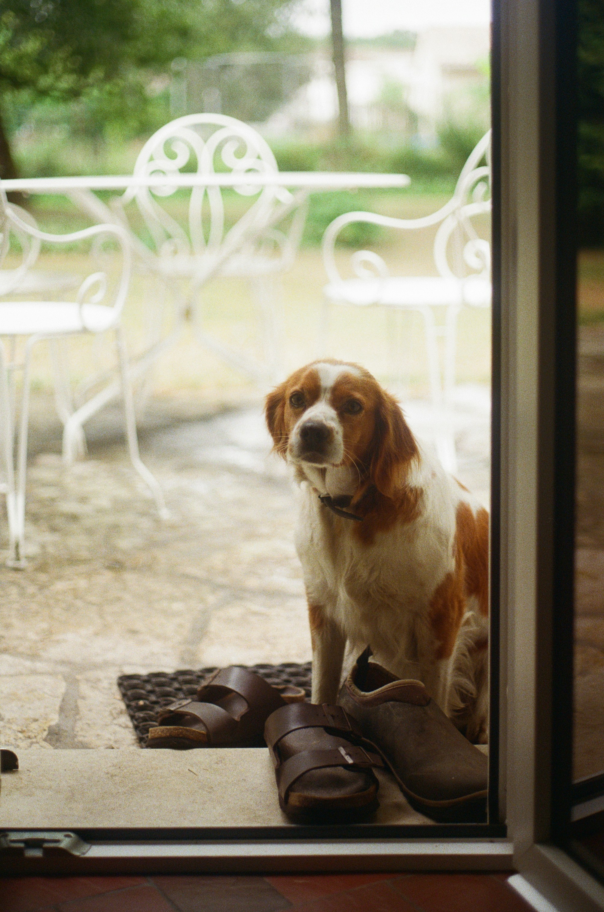 Photo by babikacharava