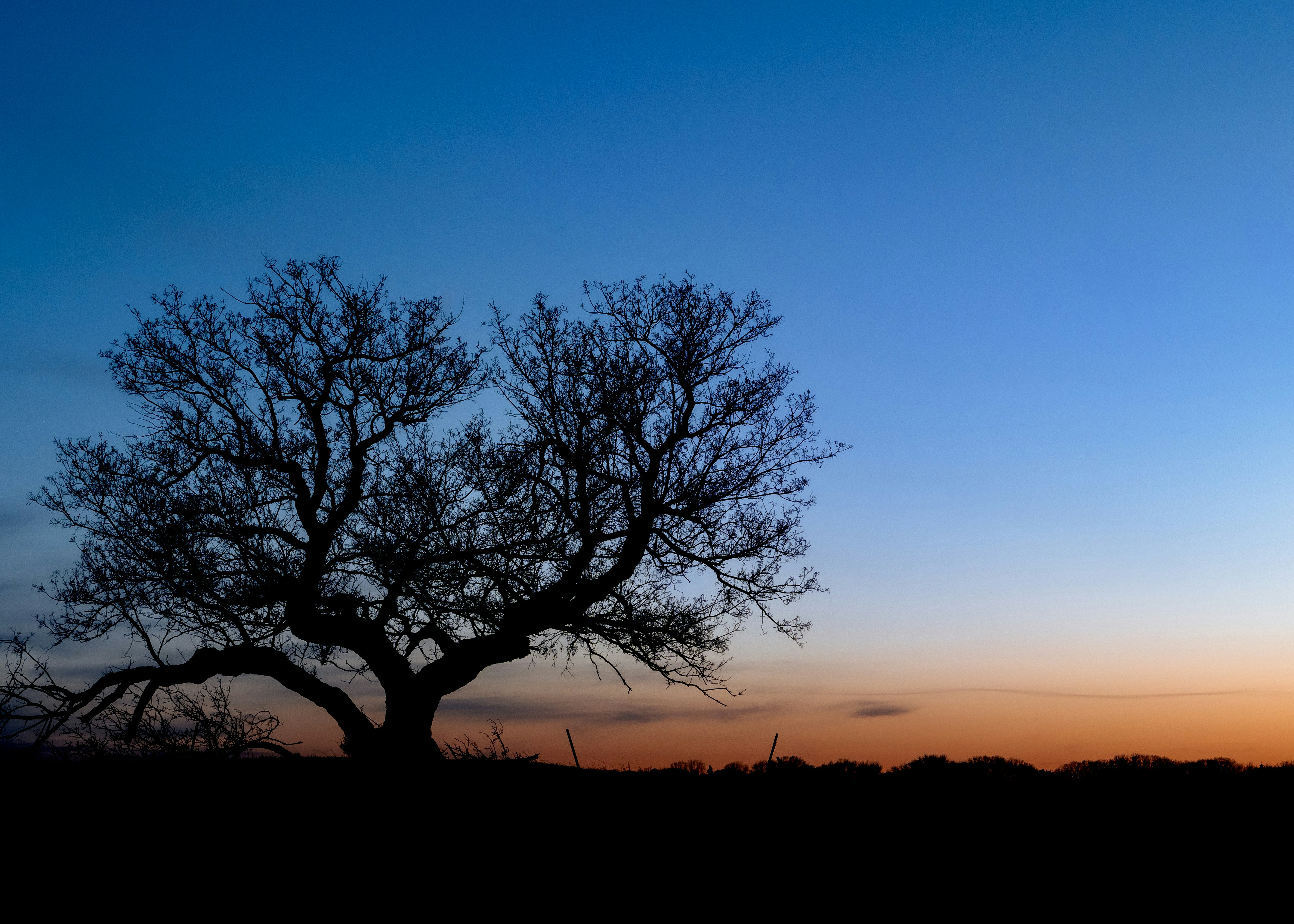 Photo by purplepanther761