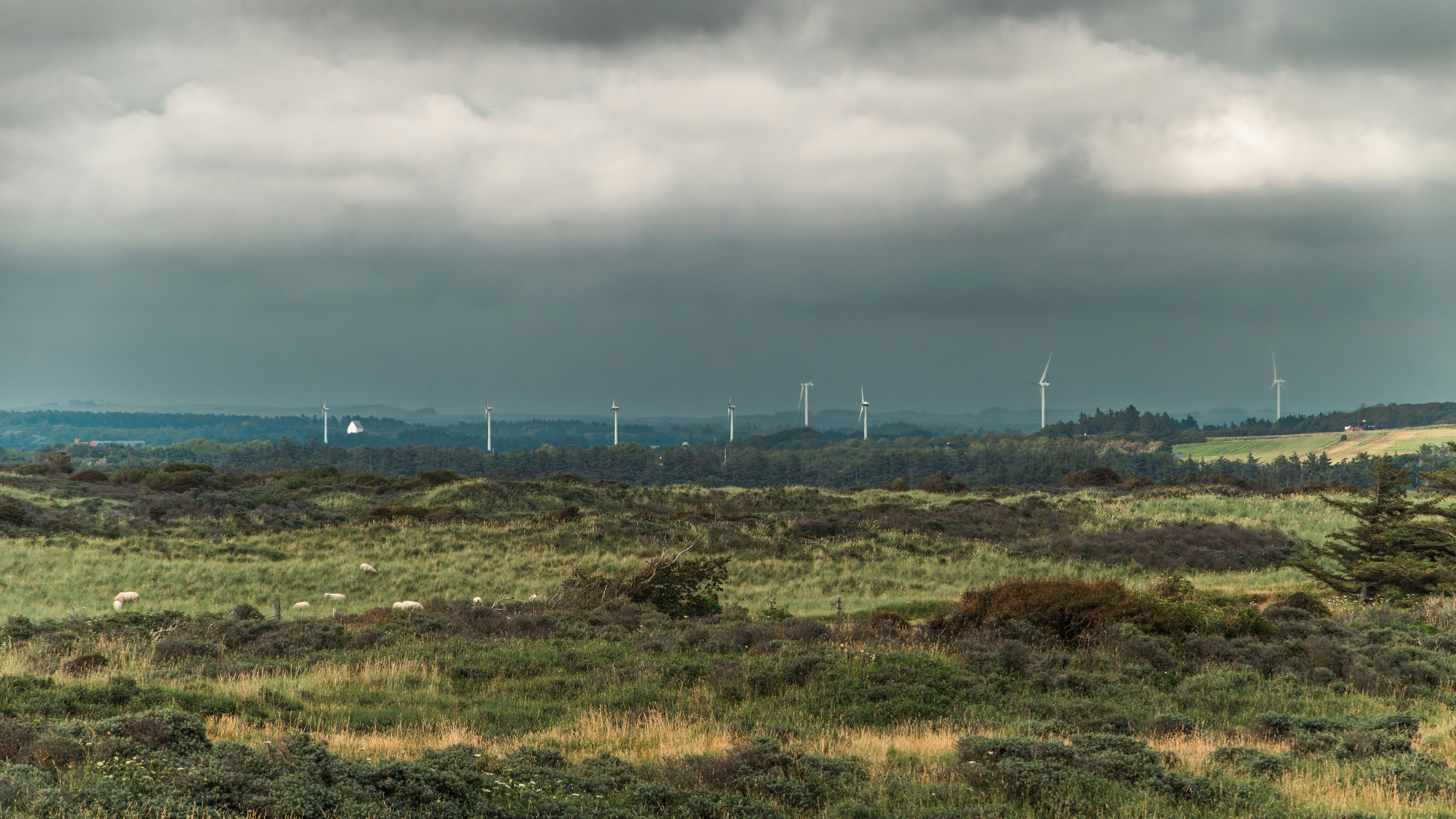 Photo by theoriginalbubi