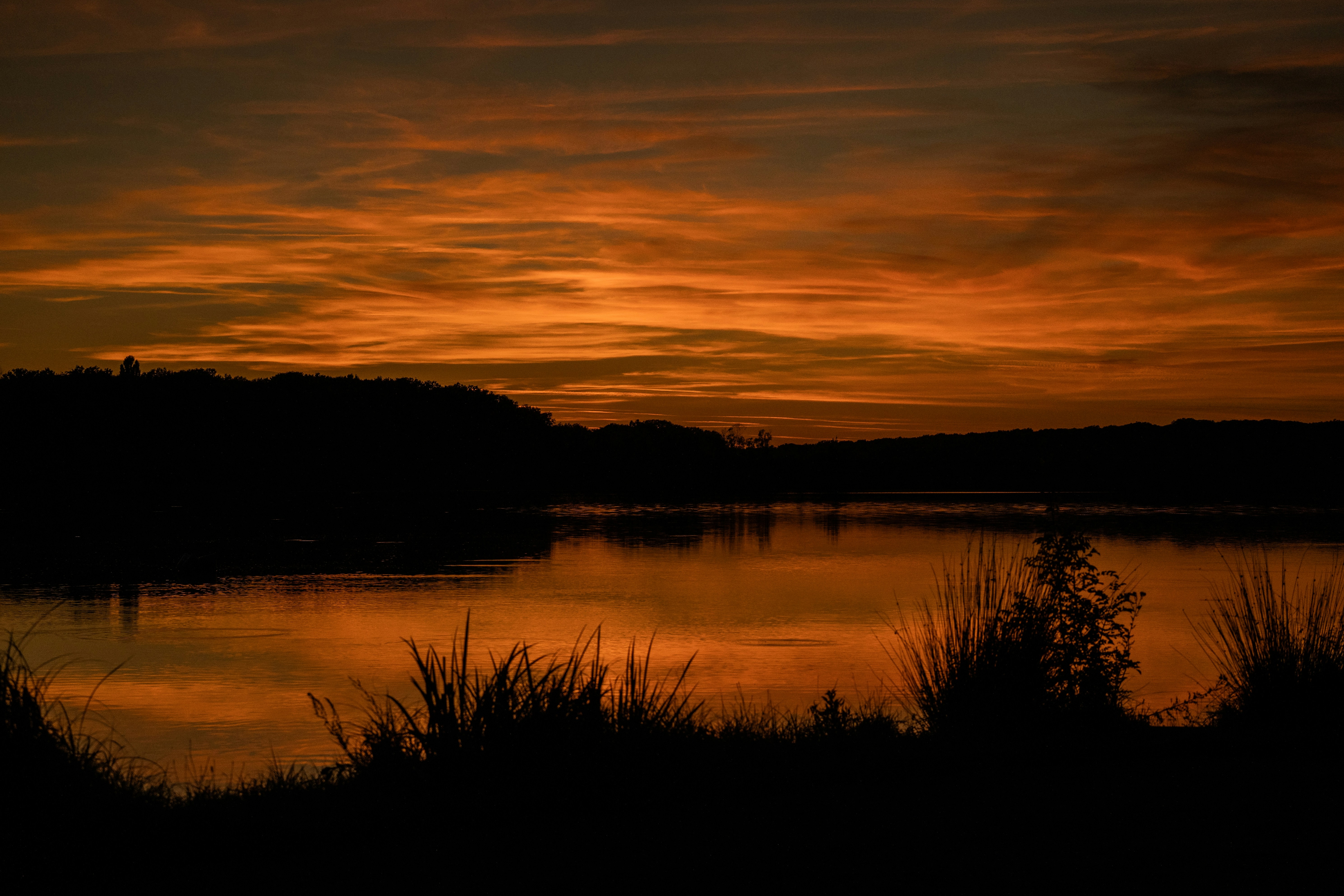 Photo by photographielu