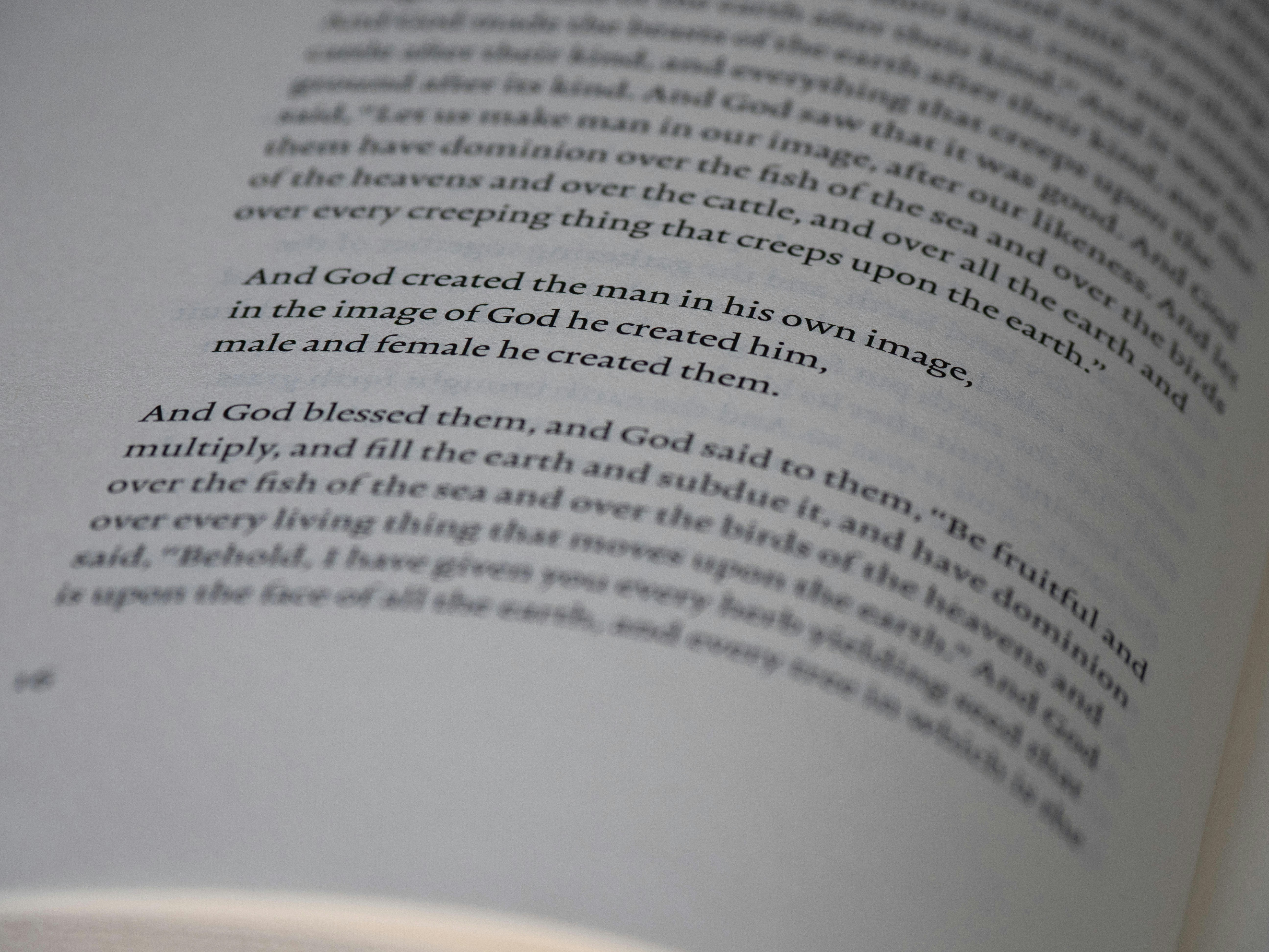 Photo by brett_jordan