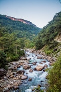 A river flows through a rocky, tree-lined canyon.